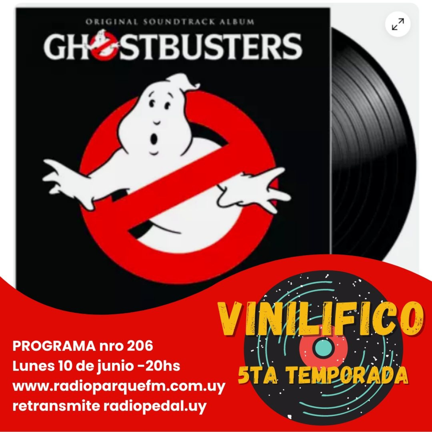 Vinilifico