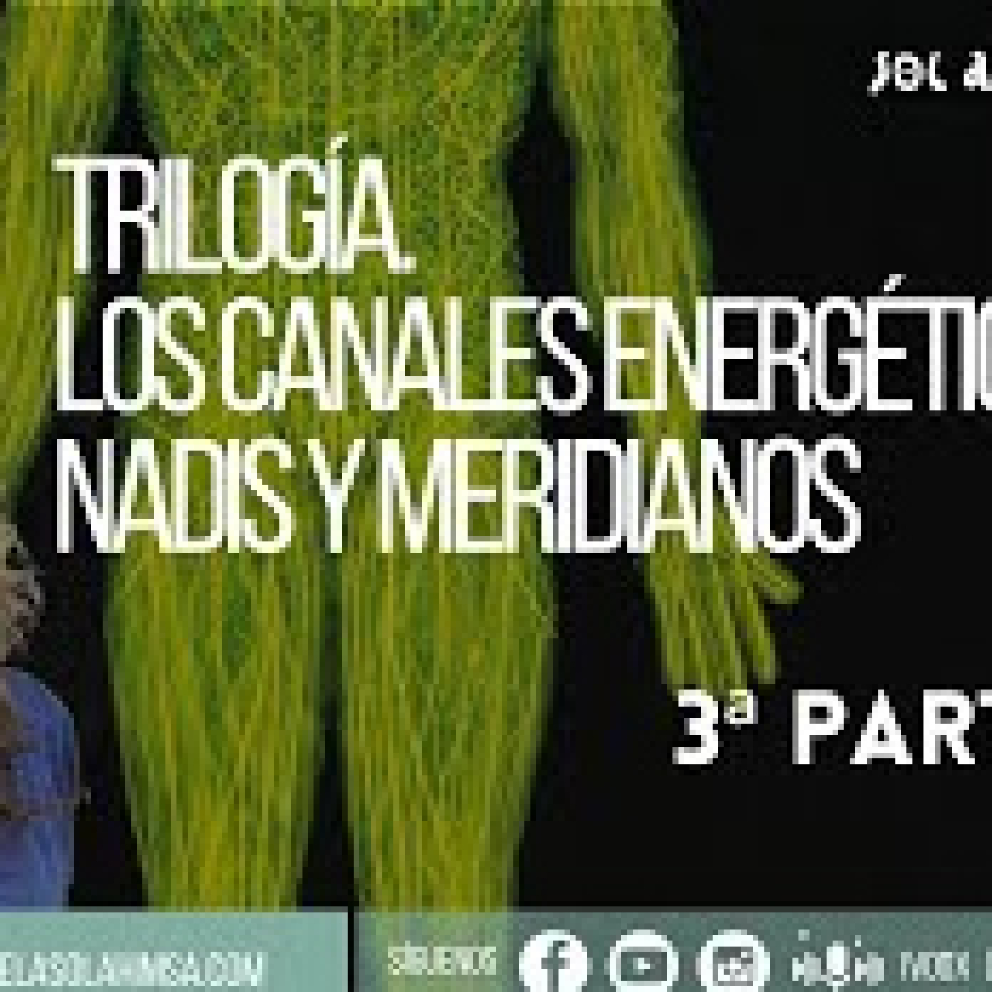 TRILOGÍA. LOS CANALES ENERGÉTICOS: NADIS Y MERIDIANOS episode artwork