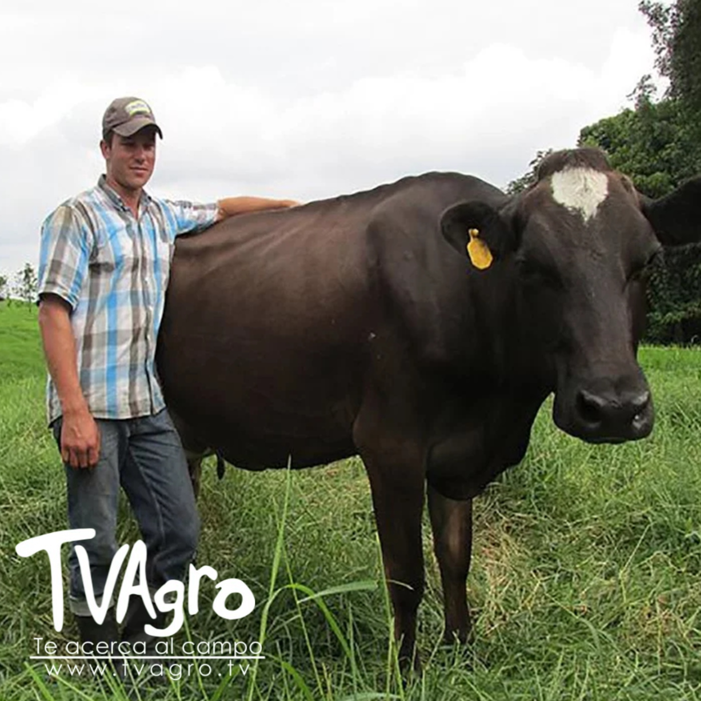 TV AGRO
