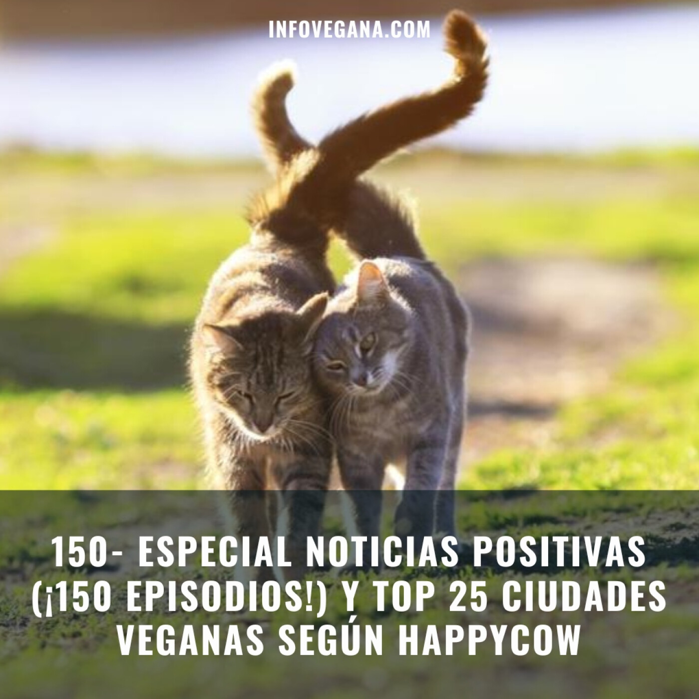 Infovegana, podcast de veganismo y sostenibilidad