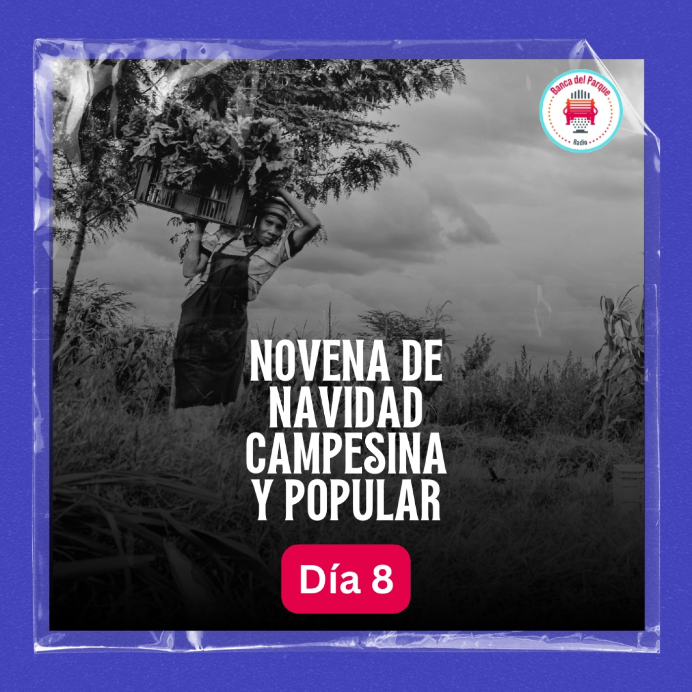 Podcast Banca del Parque Radio