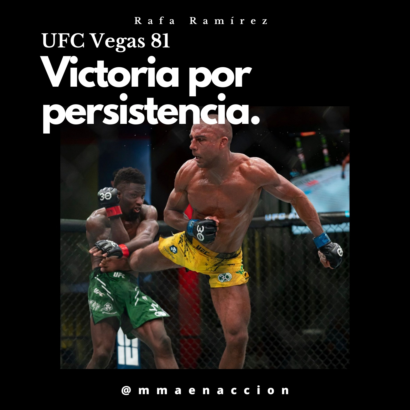 MMA en acción