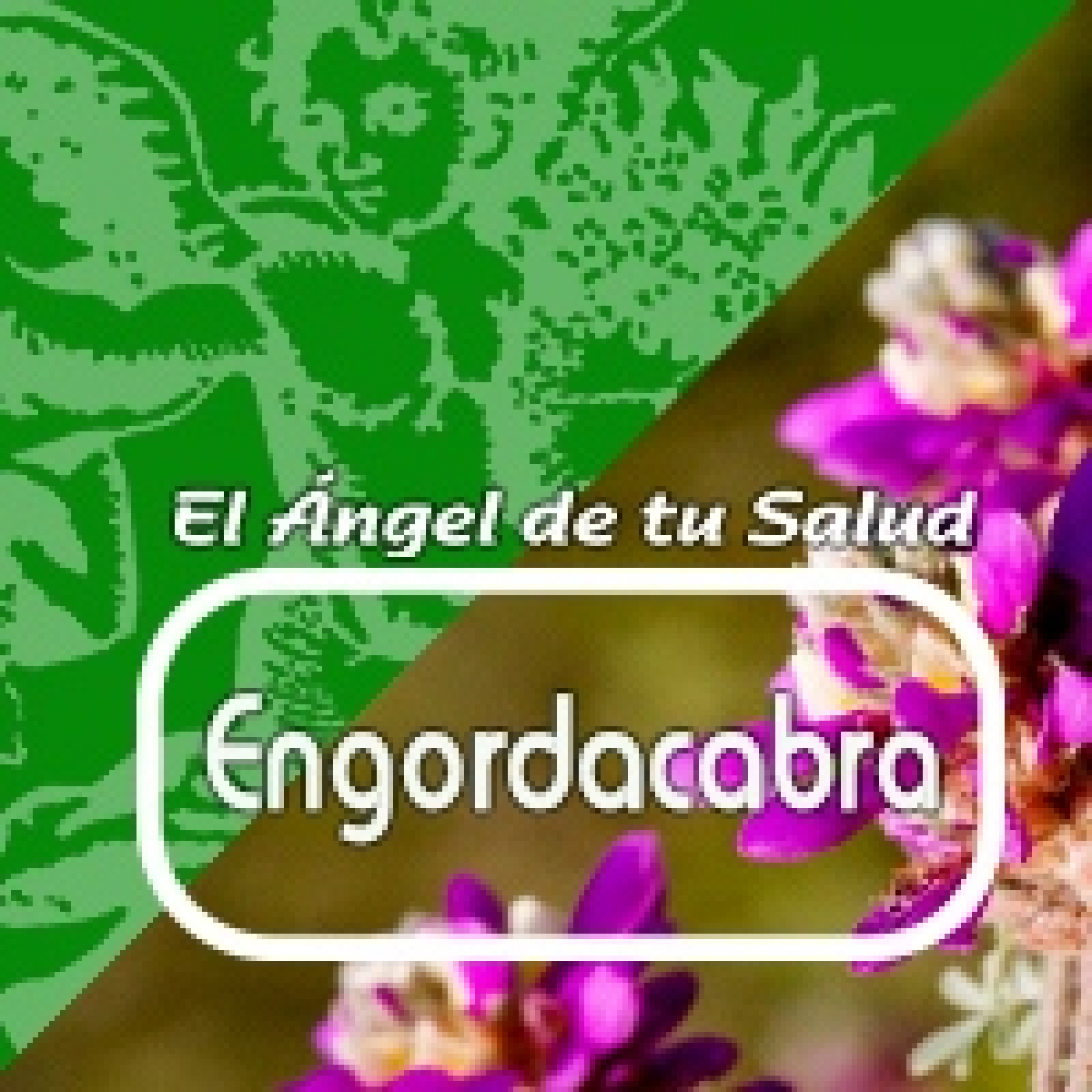 El Angel de tu Salud - ENGORDACABRA* episode artwork