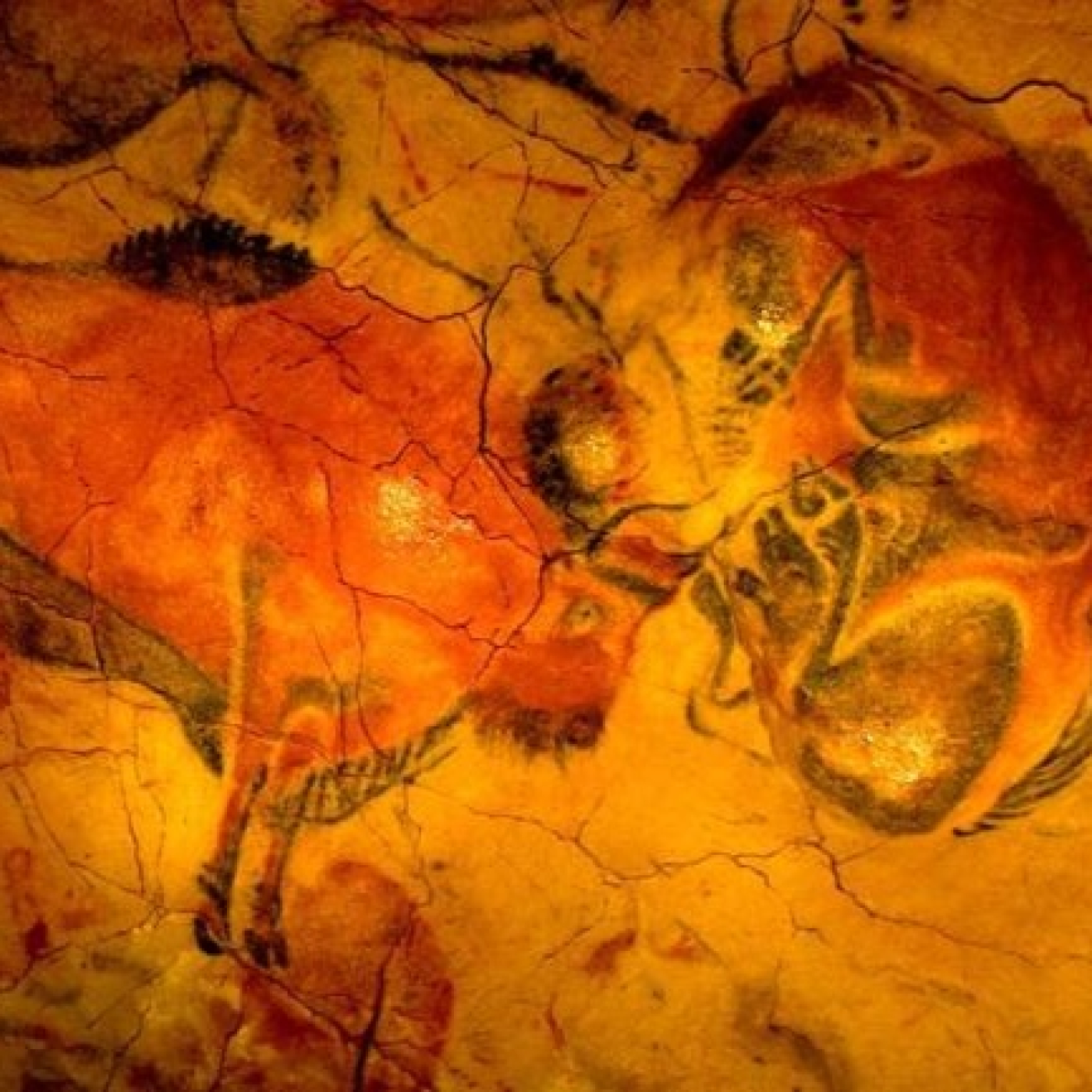 1223 - Antropología: La Paradoja Sapiens - Episodio exclusivo para mecenas