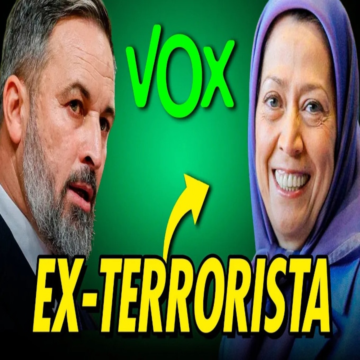 CLOCAS DEL ESTADO CONTRA PODEMOS y FINANCIACIÓN IRREGULAR DE VOX