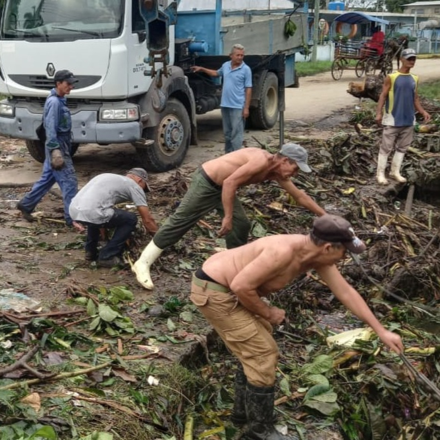 En Las Tunas intensifican las acciones para matar el mosquito adulto y cortarle el paso a la arbovirosis. En Las Tunas intensifican las acciones para matar el mosquito adulto y cortarle el paso a la arbovirosis.