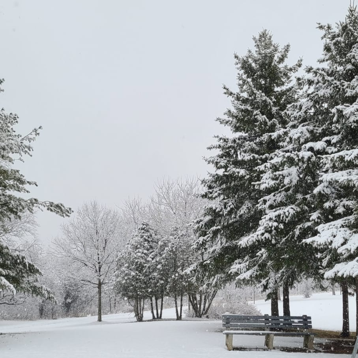 NTN 120 -   La competencia de ChatGPT, modelos grandes de LLM: LaMDA, PaLM, PEER, Megatron