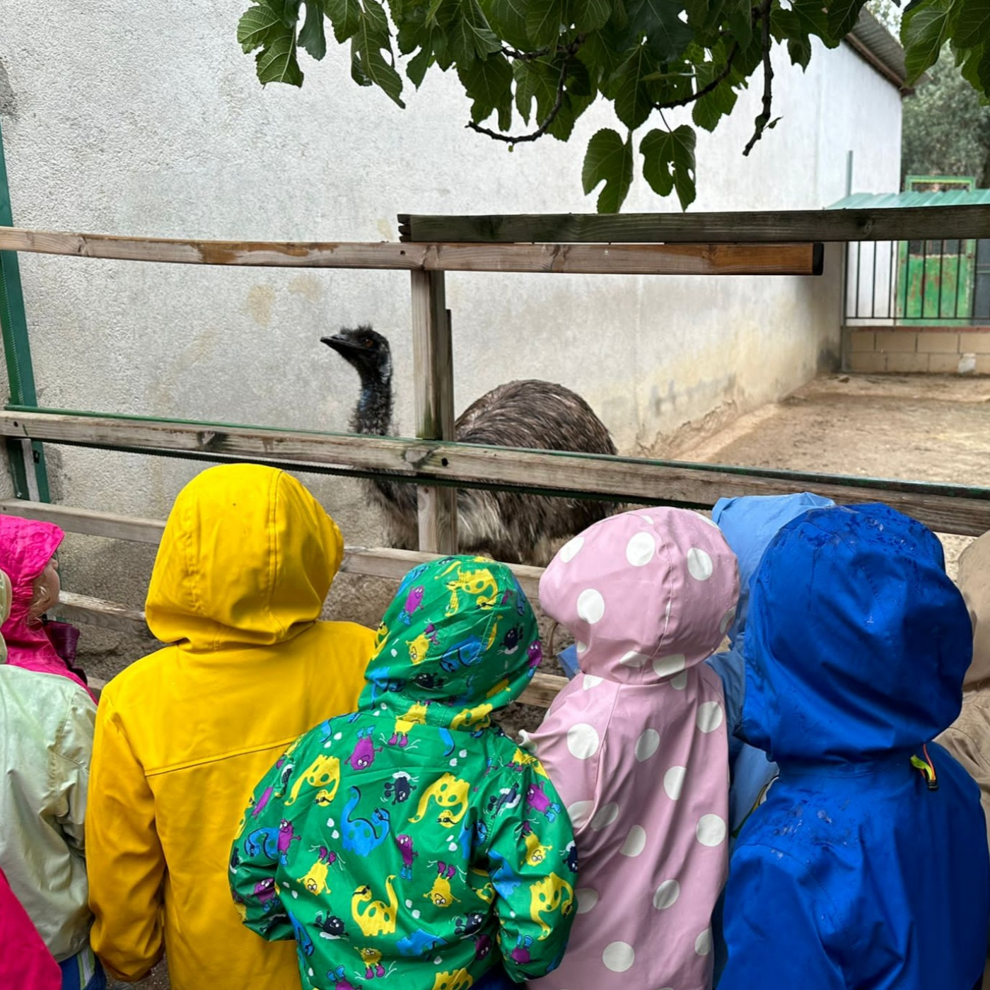 Podcast ONDA DA VINCI