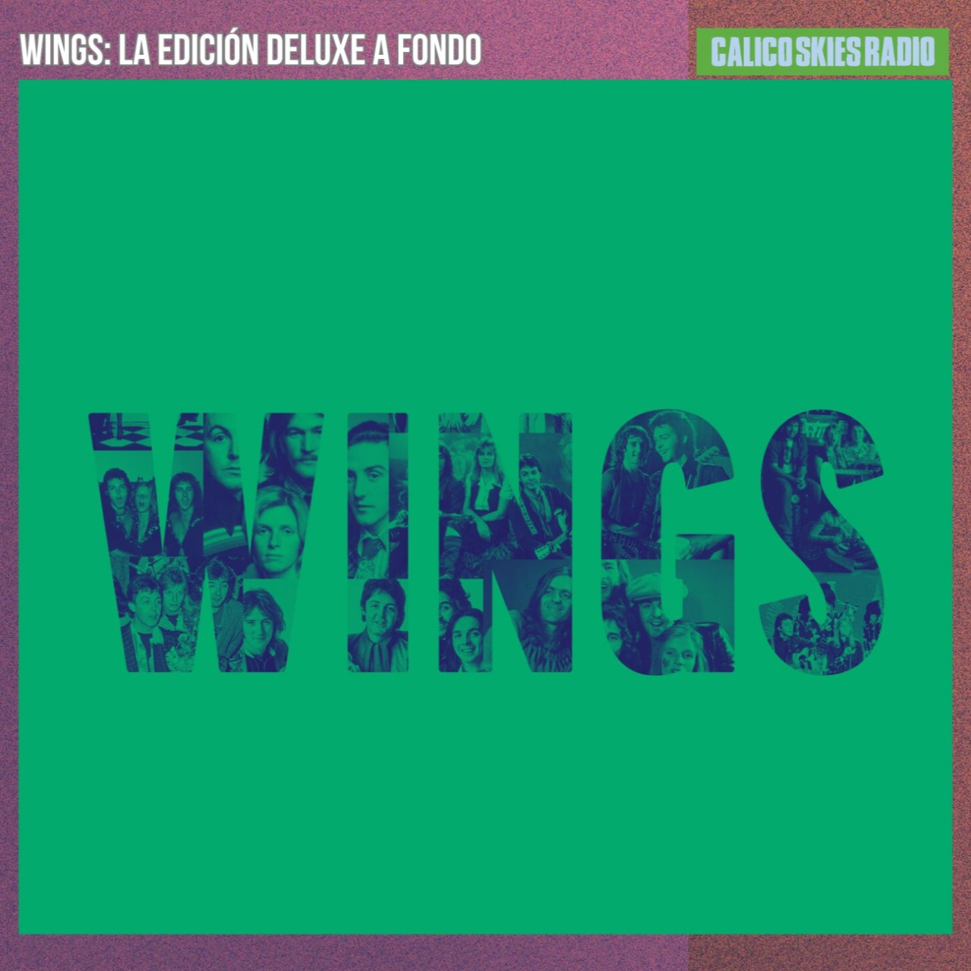 Wings: la edición deluxe a fondo episode artwork