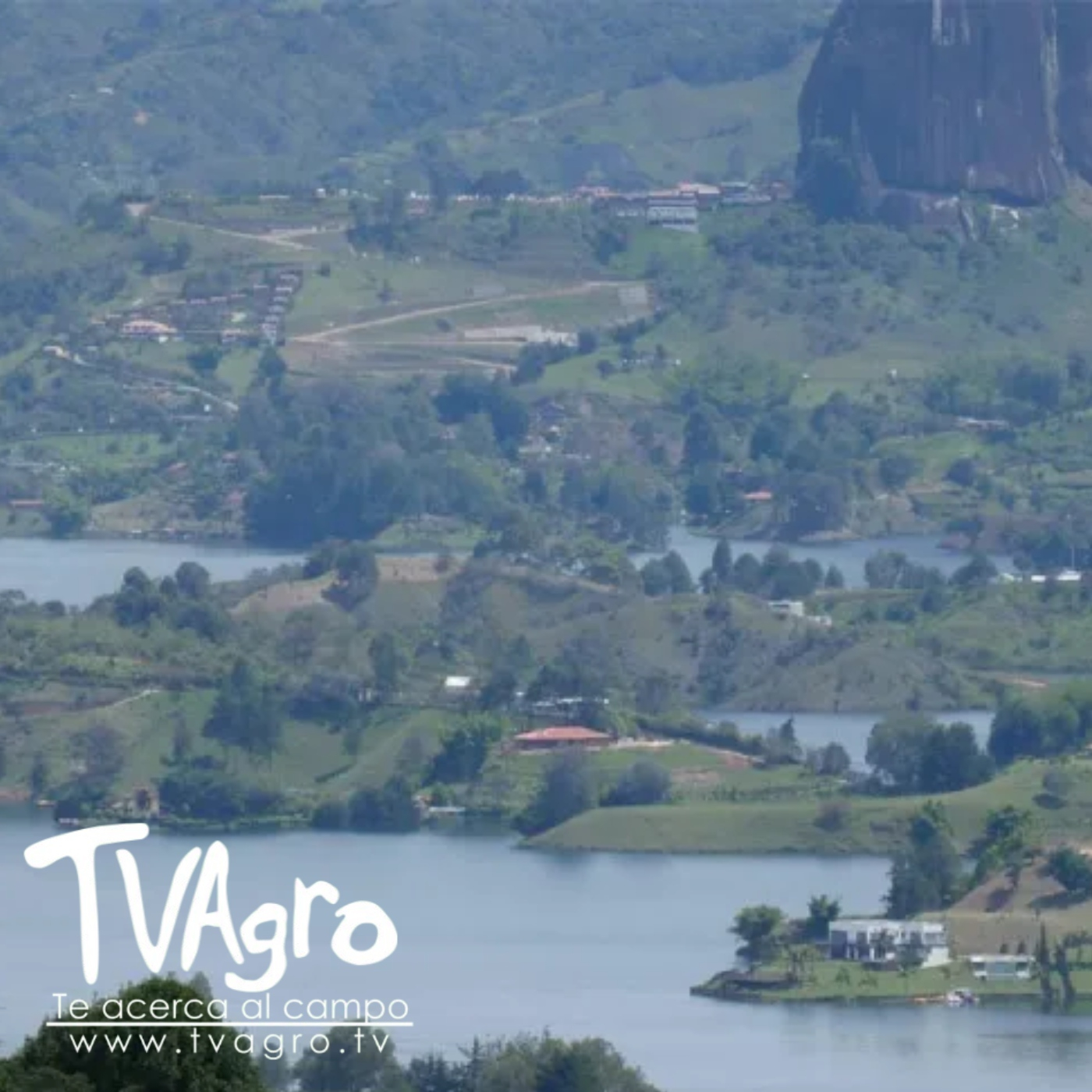 TV AGRO