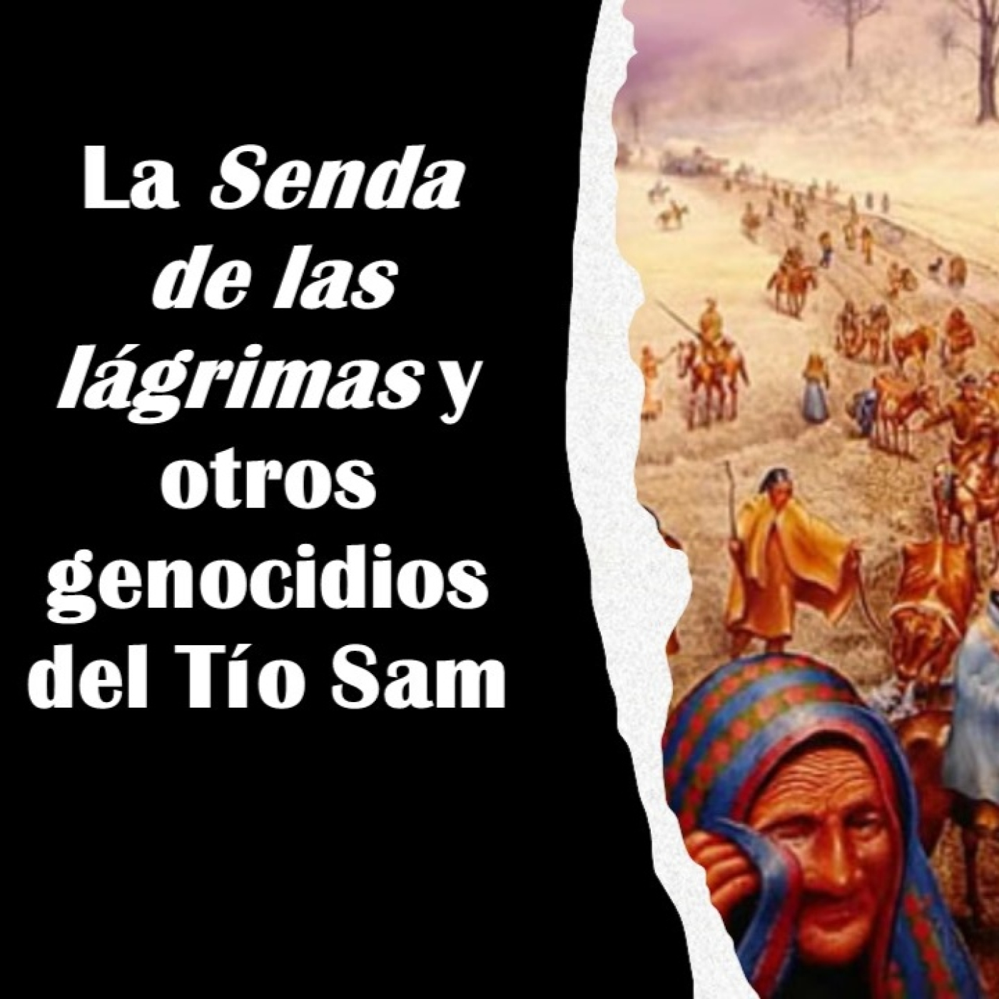 PRIMUM GRADUS (el primer paso)