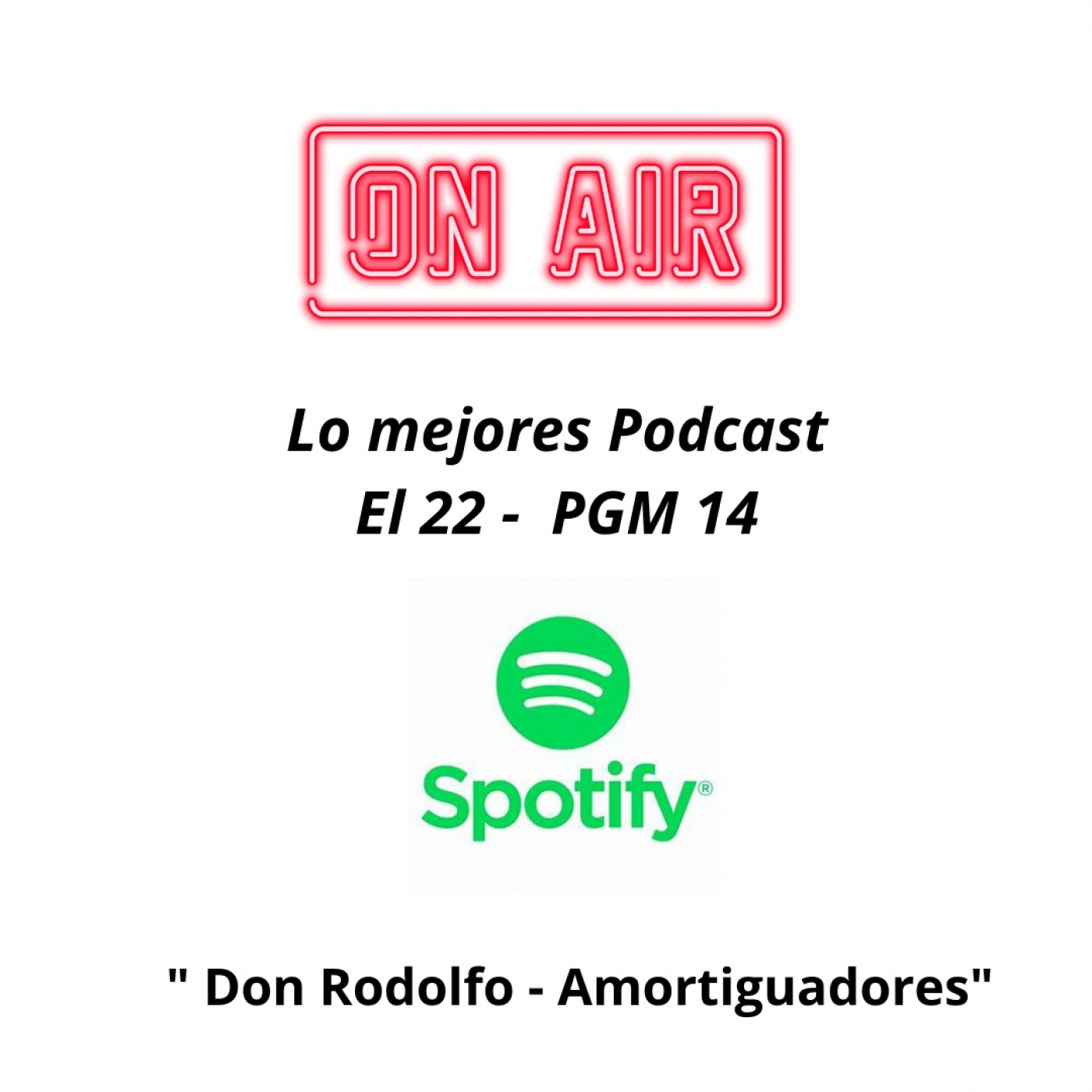 Podcast -El 22 - PGM 14 - Don Rodolfo - amortiguadores episode artwork