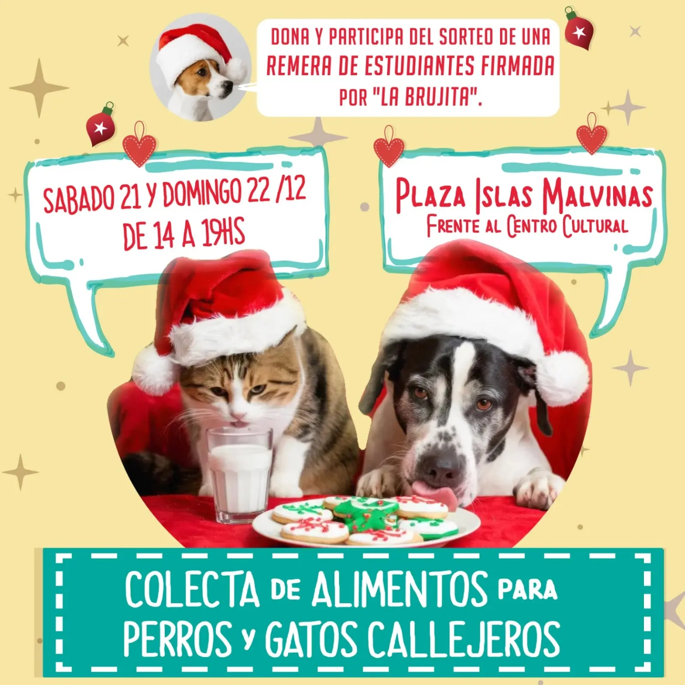 Gonnet Digital - Colecta navideña para animales sin hogar en Plaza Malvinas episode artwork