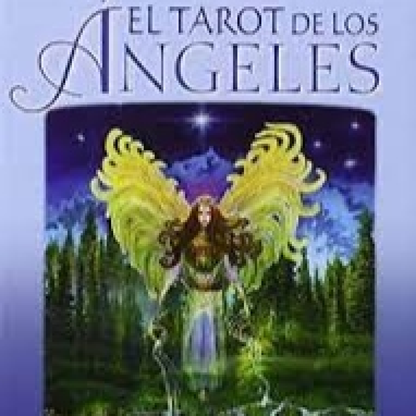 Disfrutando Leyendo