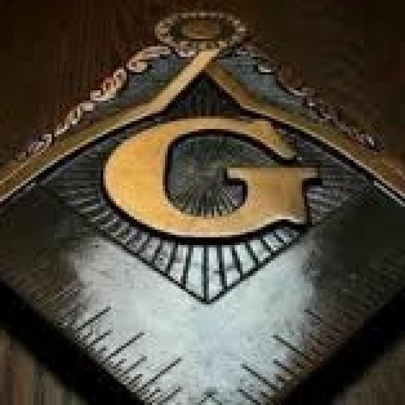 PRIMUM GRADUS (el primer paso)