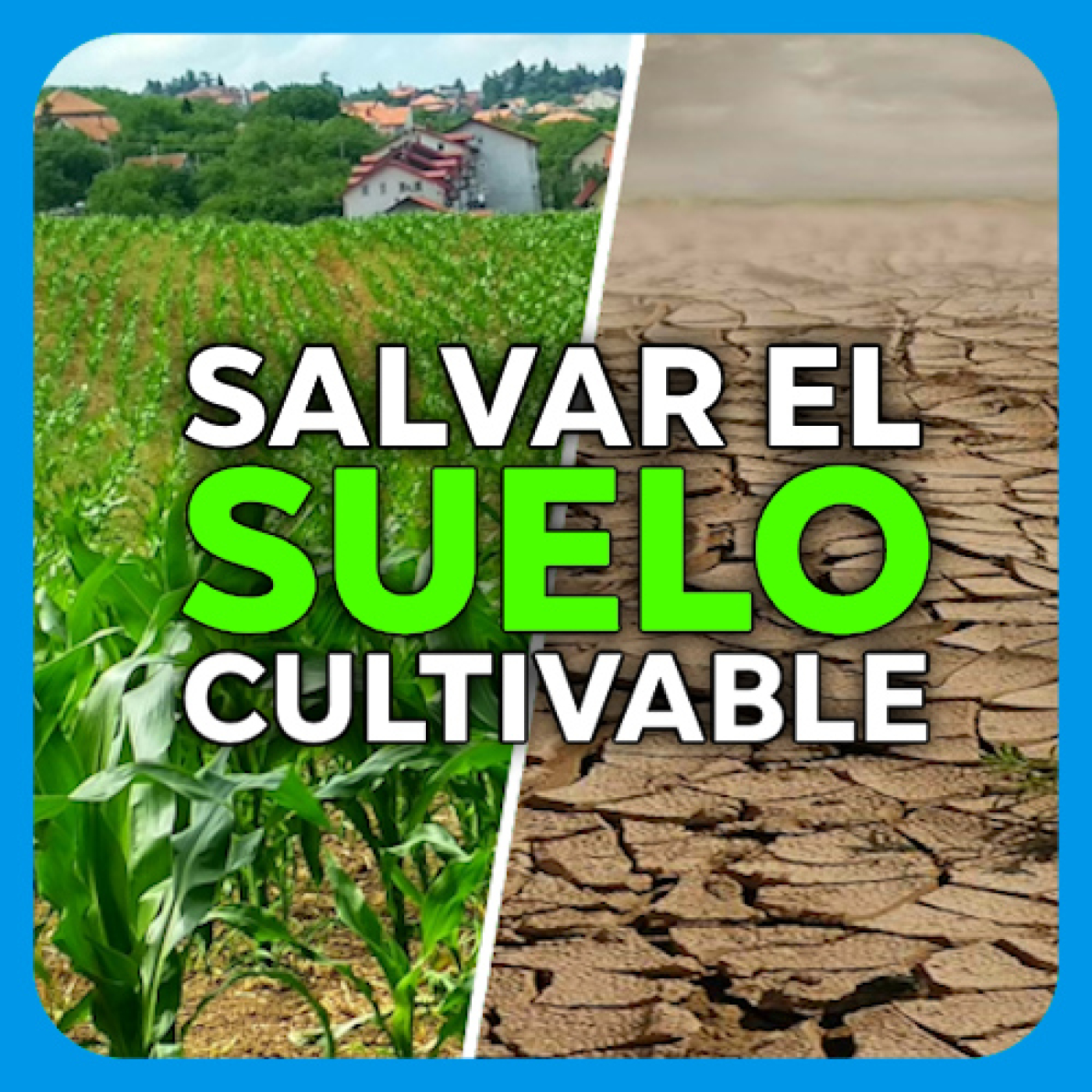 Economía directa
