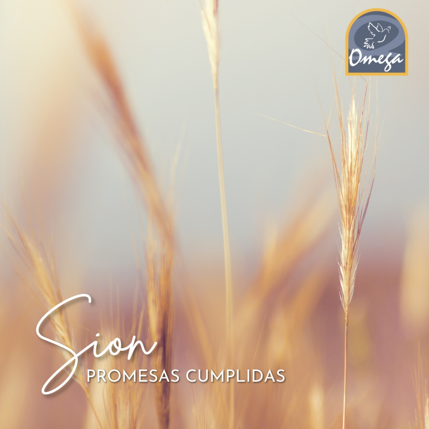 Omega Centro Cristiano