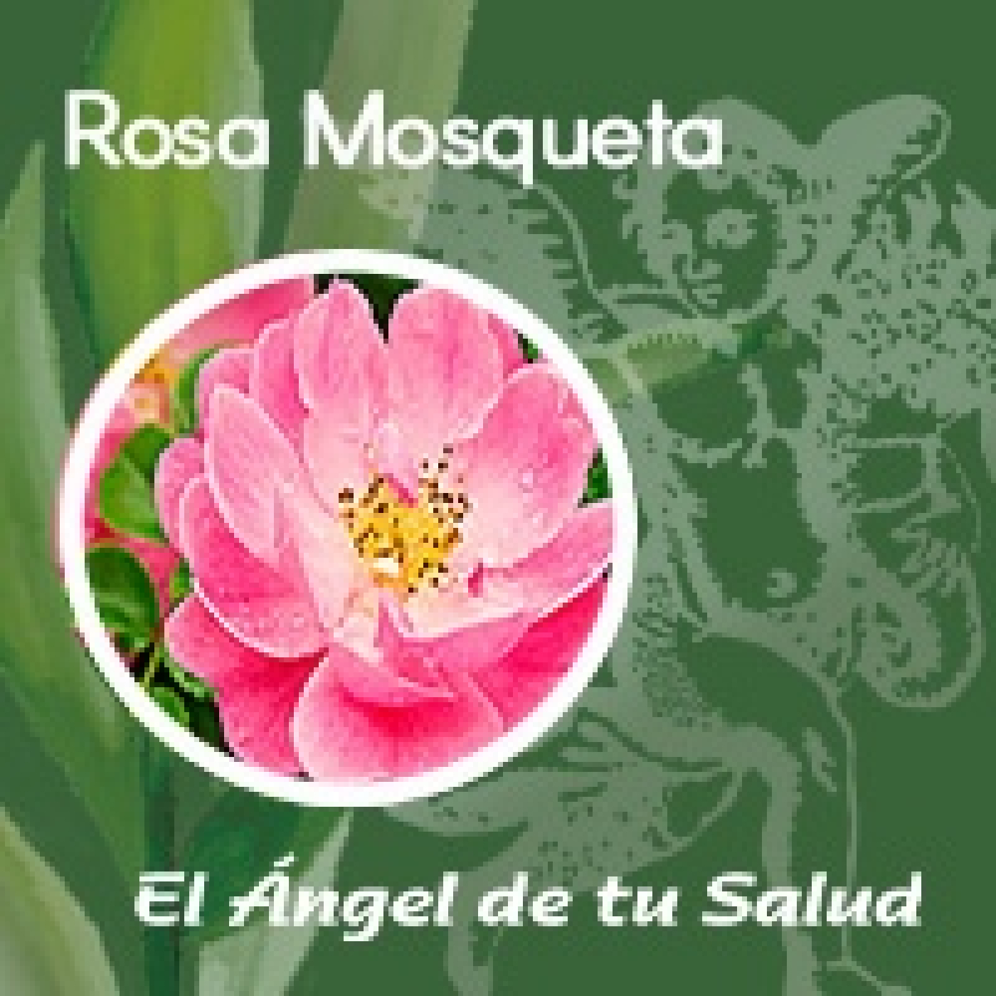 El Ángel de tu Salud - Rosa Mosqueta** episode artwork