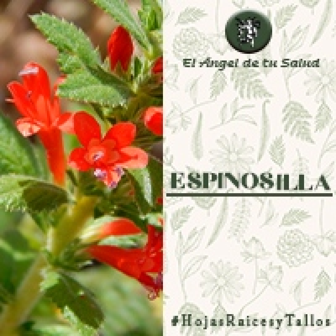 El Ángel de tu Salud - Espinosilla** episode artwork
