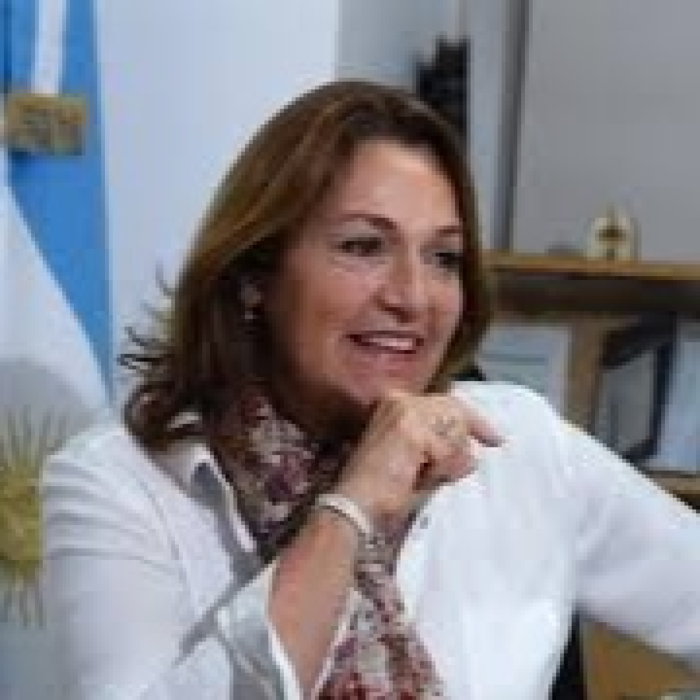 Marcela Campagnoli- Diputada CC @laurasverdlick 16-10-2024