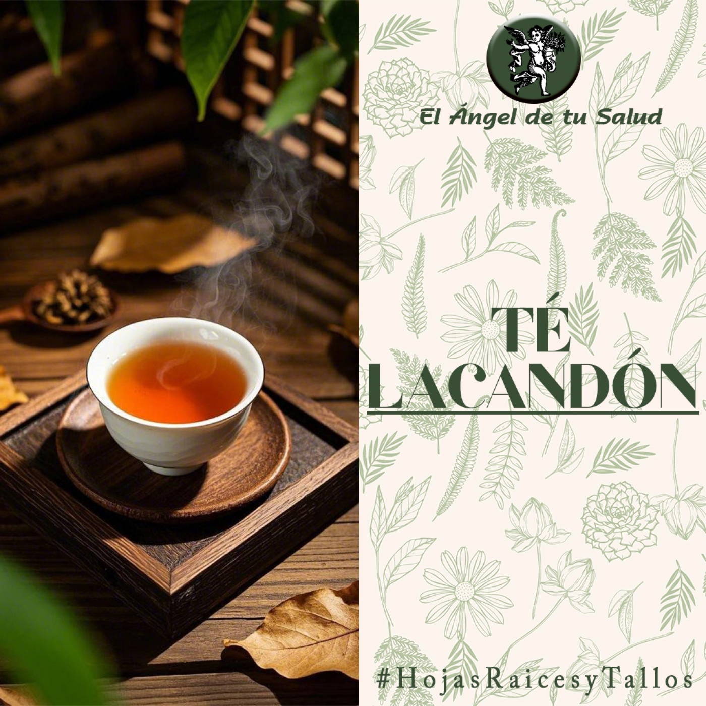 El Ángel de tu Salud - Té Lacandón**