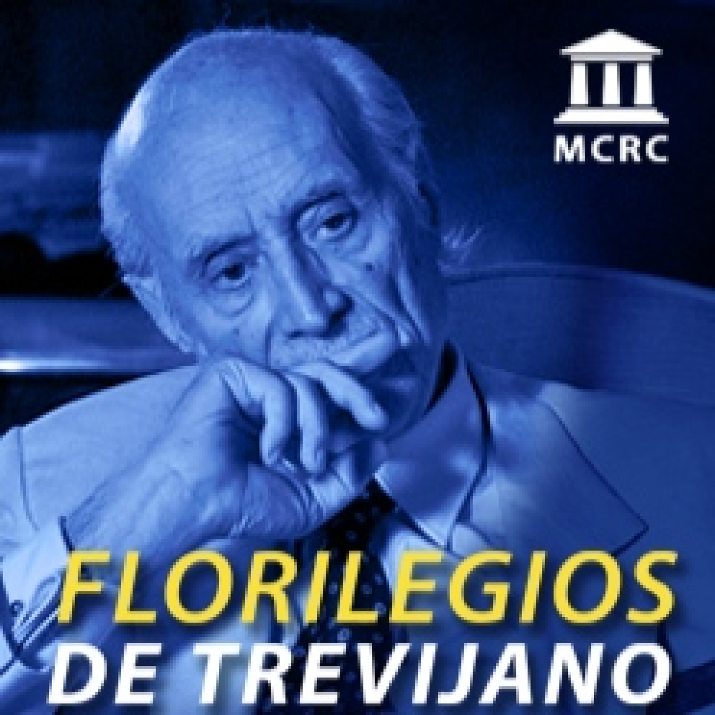 Radio Libertad Constituyente
