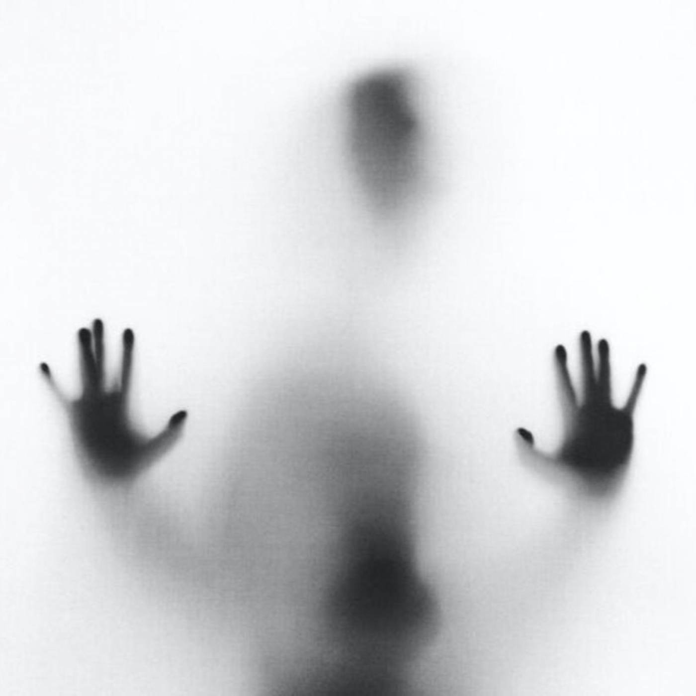 Disidentia