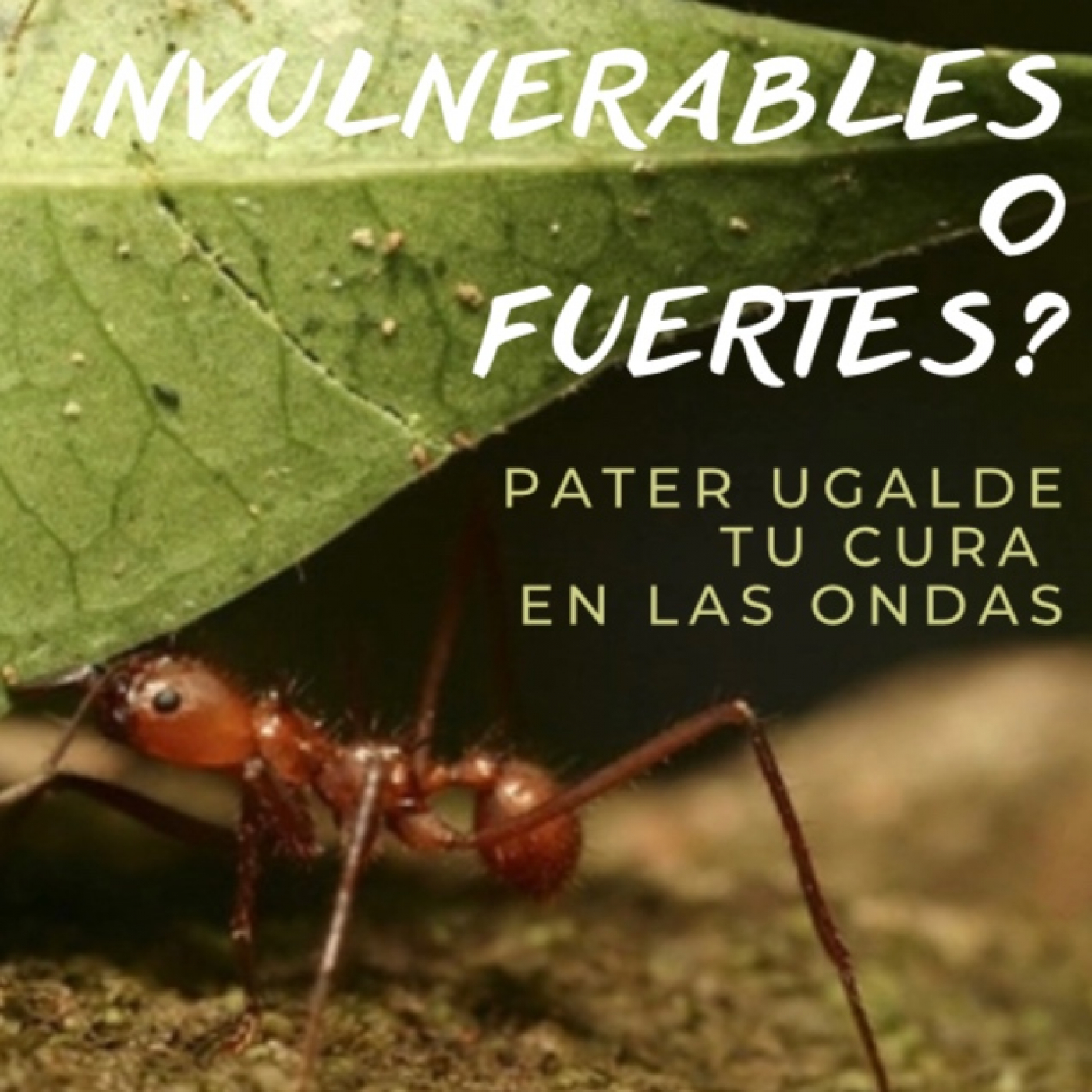 Pater Ugalde. Tu cura en la red