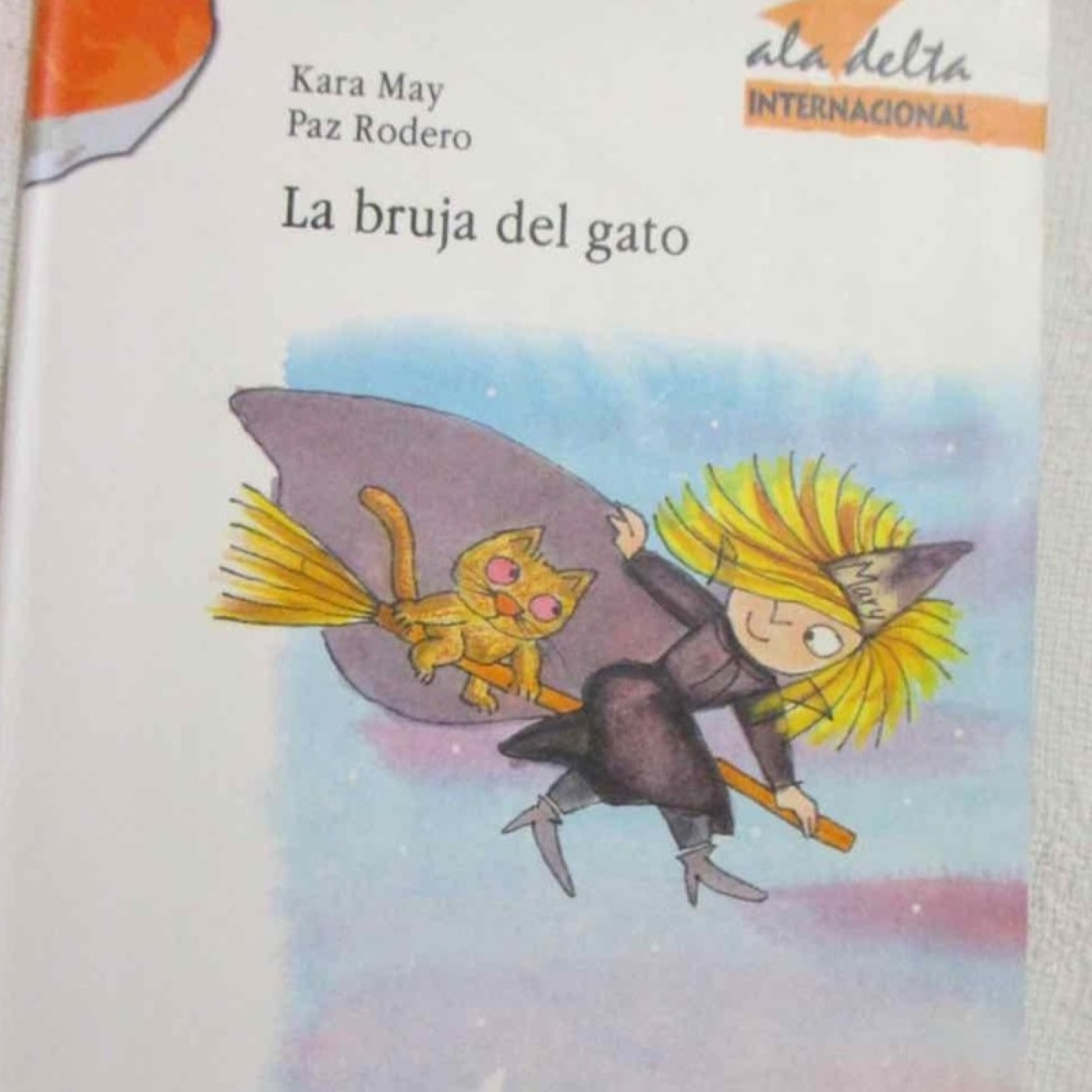 Disfrutando Leyendo