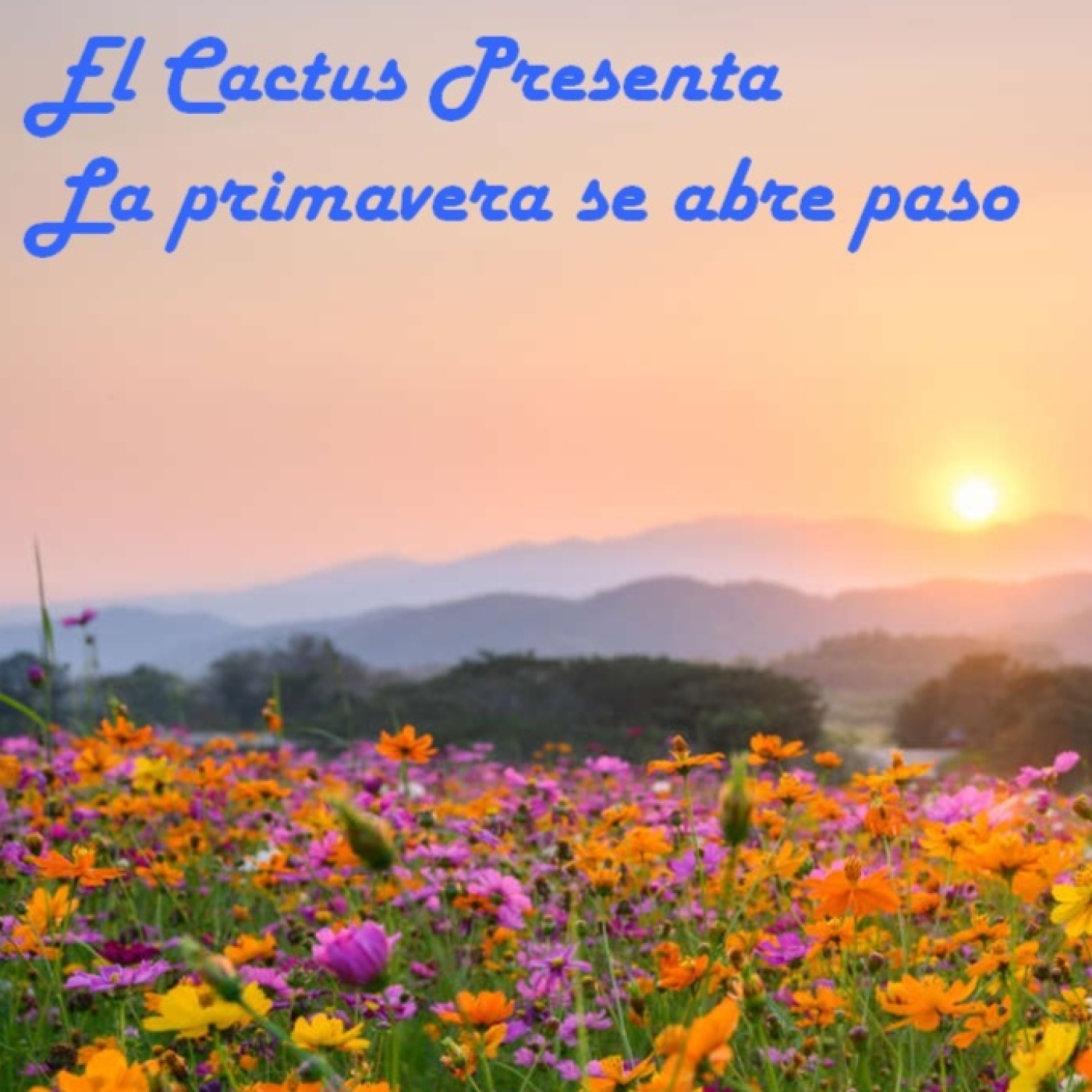 El Cactus