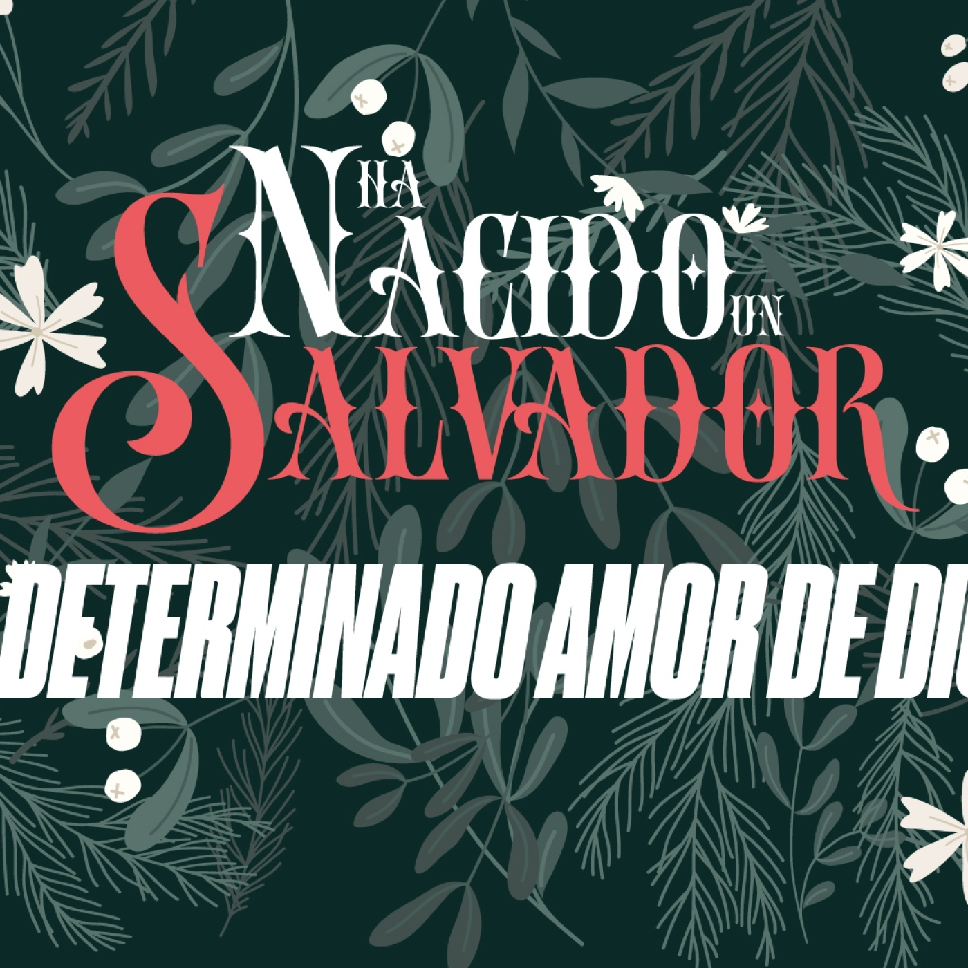 EL DETERMINADO AMOR DE DIOS serie: HA NACIDO UN SALVADOR episode artwork