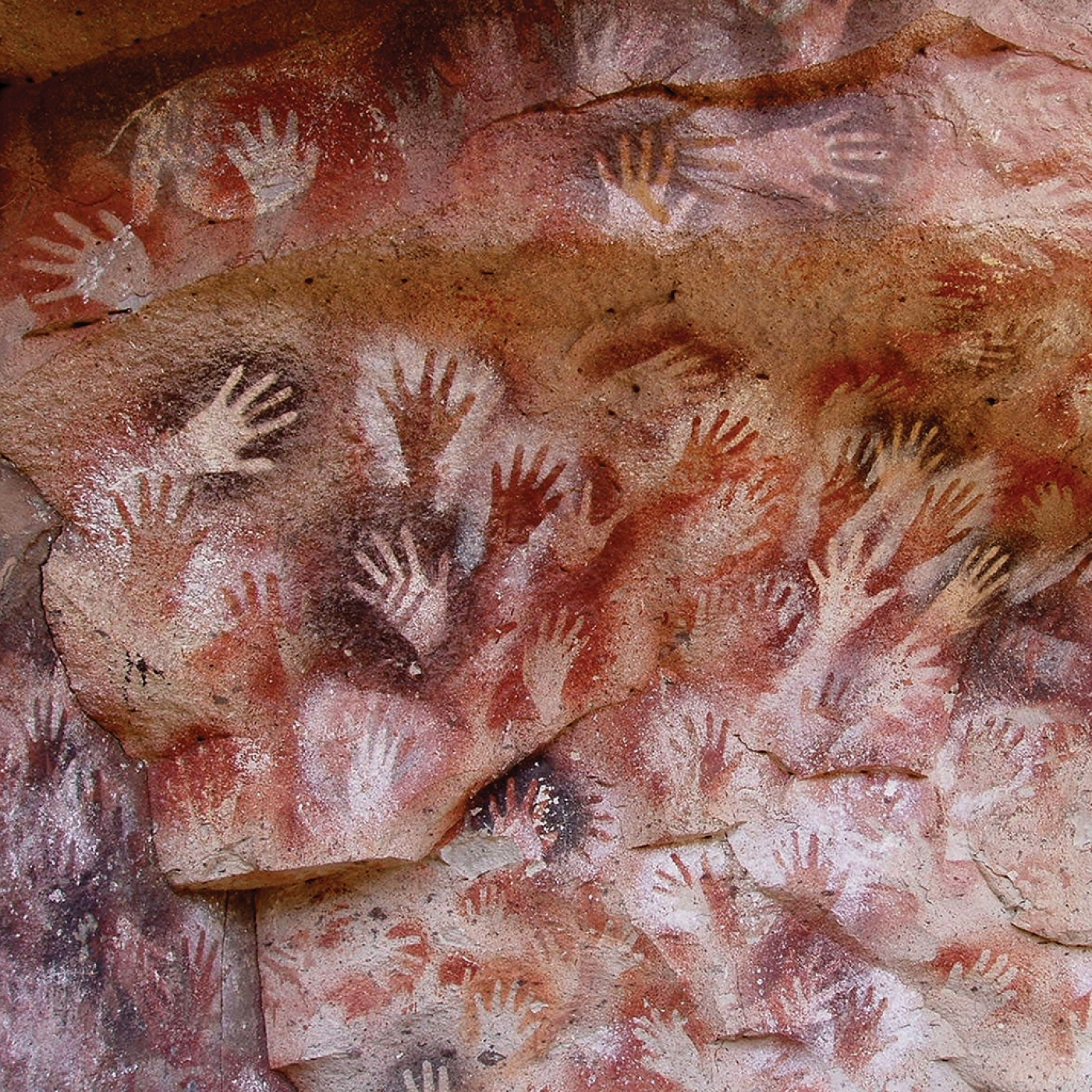 1330 - Paleoantropología: El Origen de la Cultura Humana - Parte 1 y 2 - Redifusión