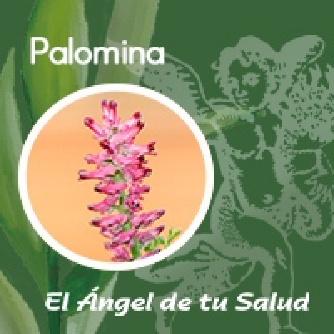El Ángel de tu Salud - Palomina** episode artwork