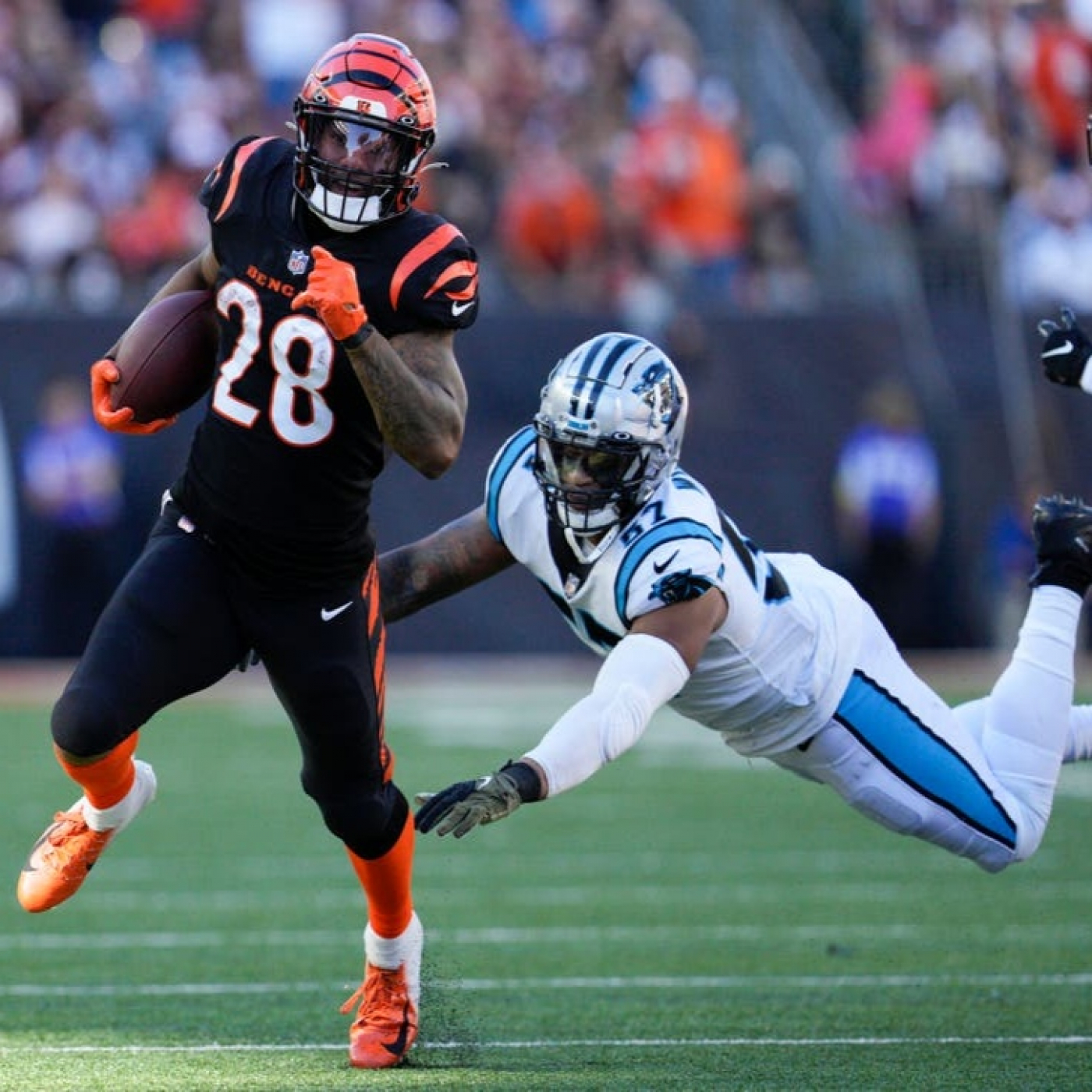 La Jungla Hispana - Bengals.es