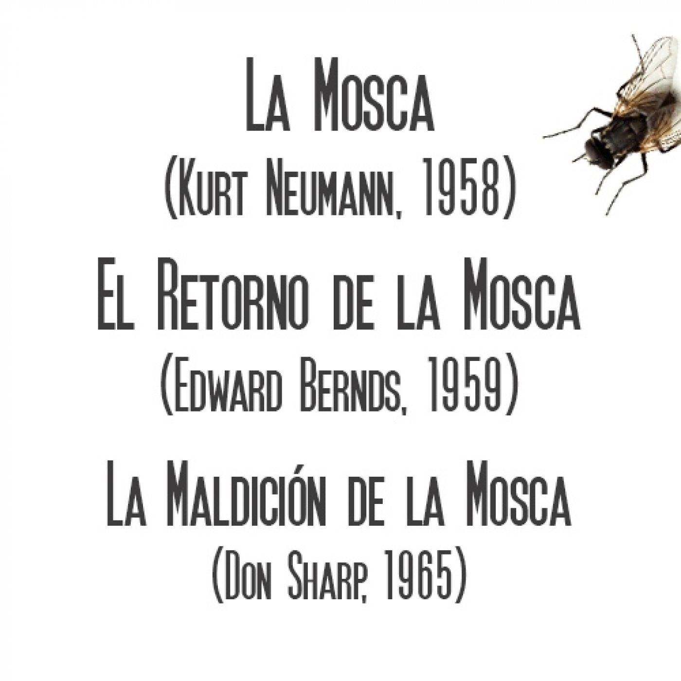 Aguas Turbias