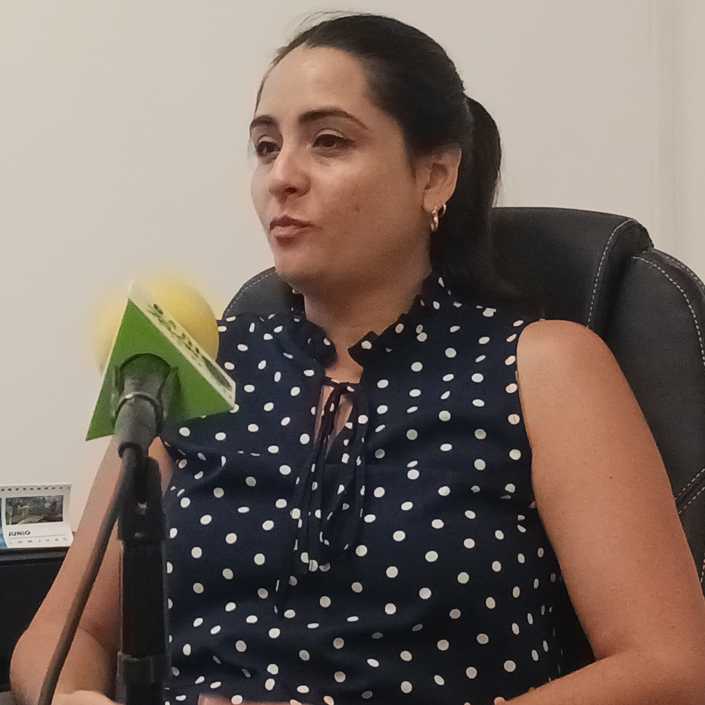 Ley de comunicación social: apuntes en el camino hacia su implementación