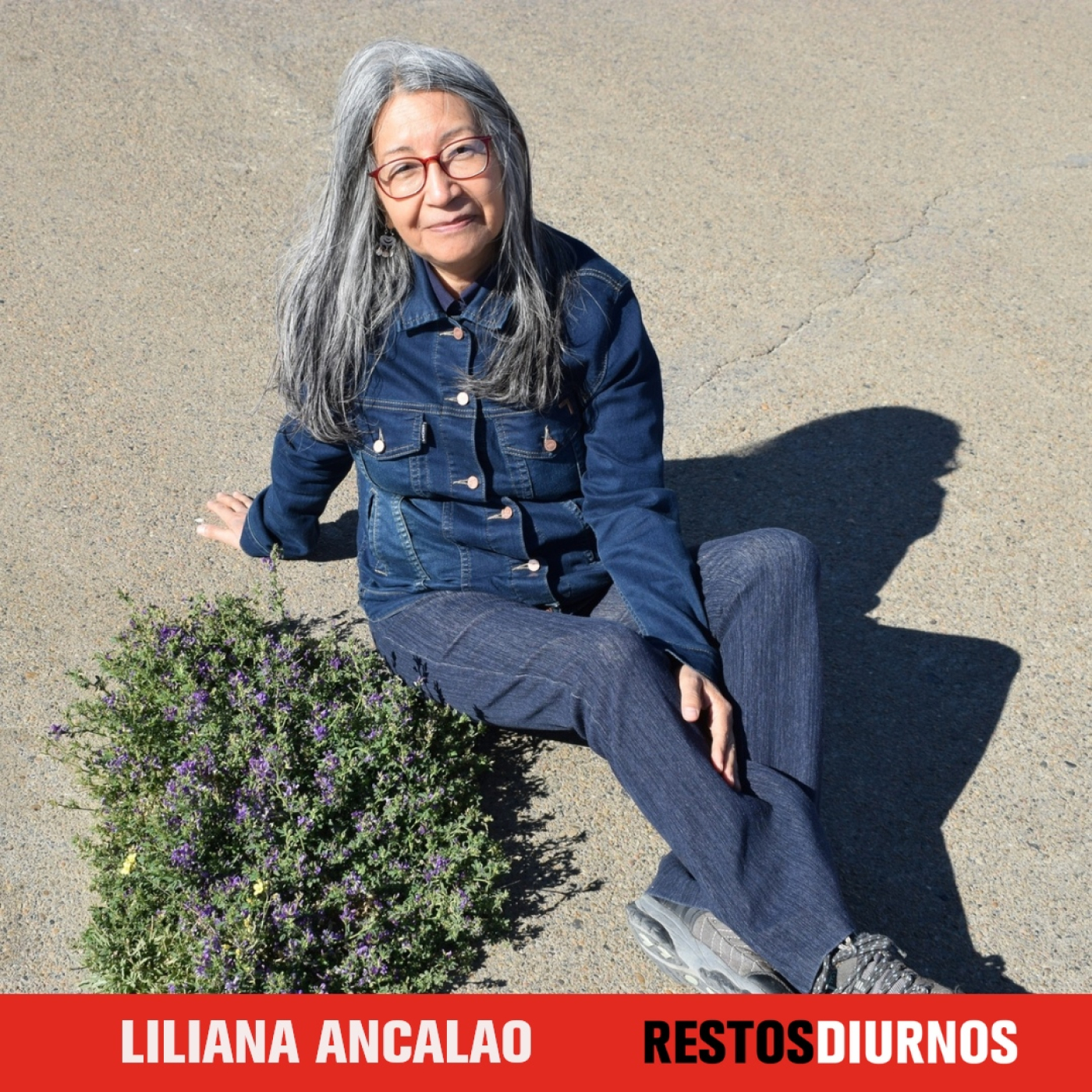 Restos Diurnos Radio
