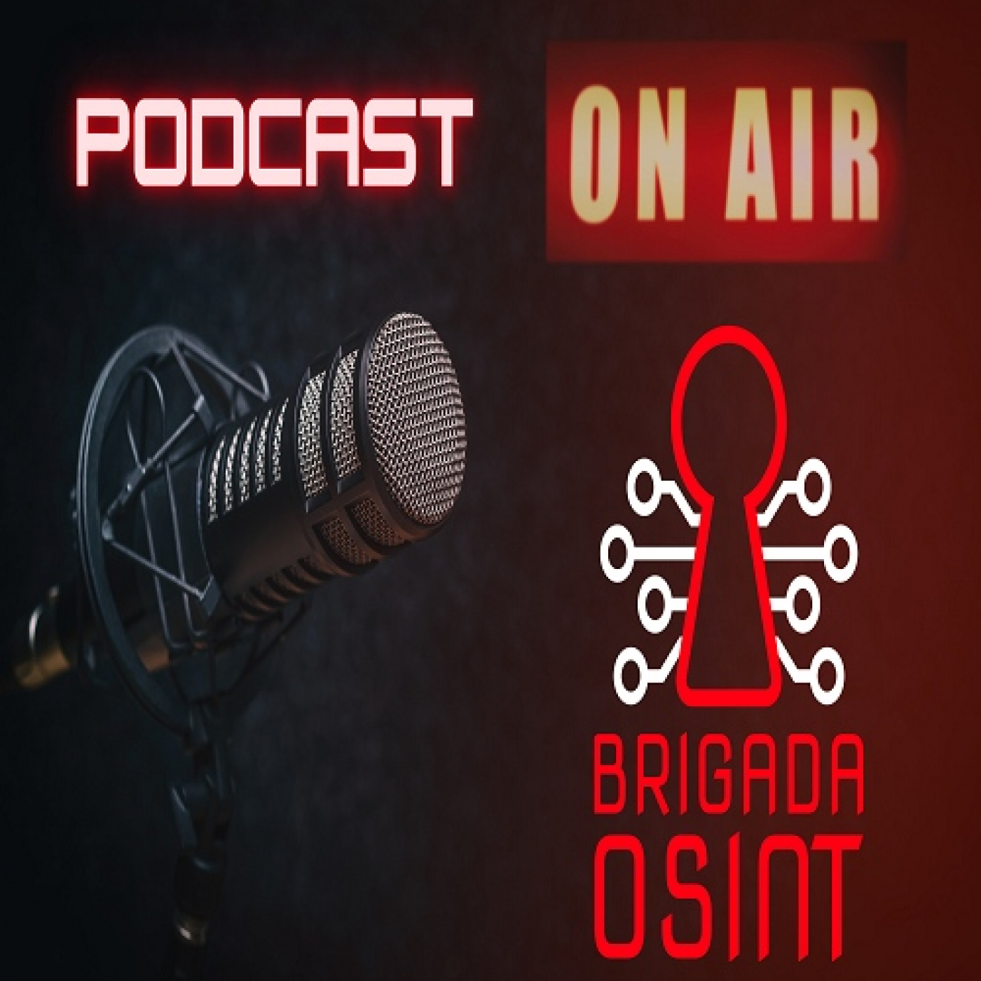 Brigada Osint