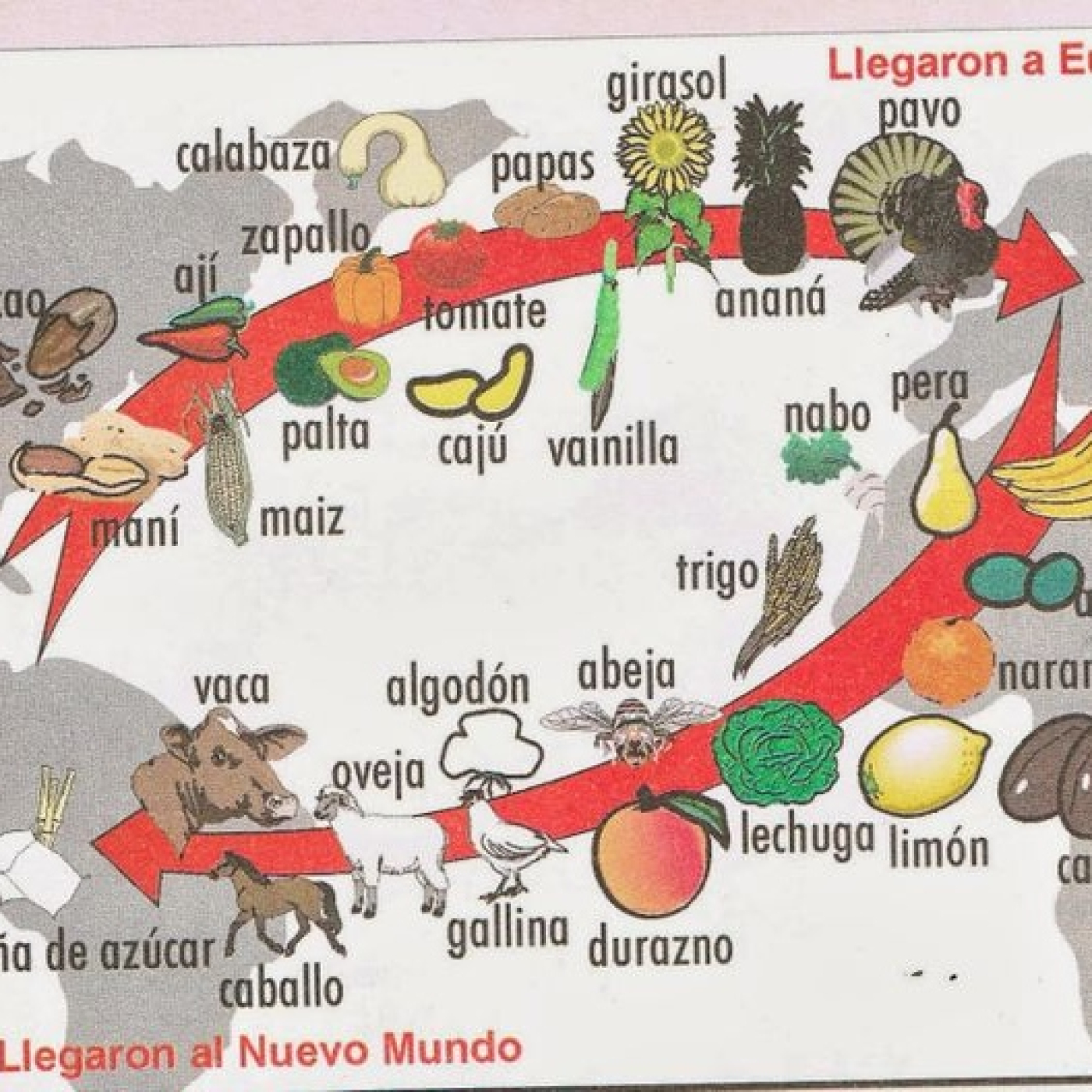 La guarida del Lobo Historia