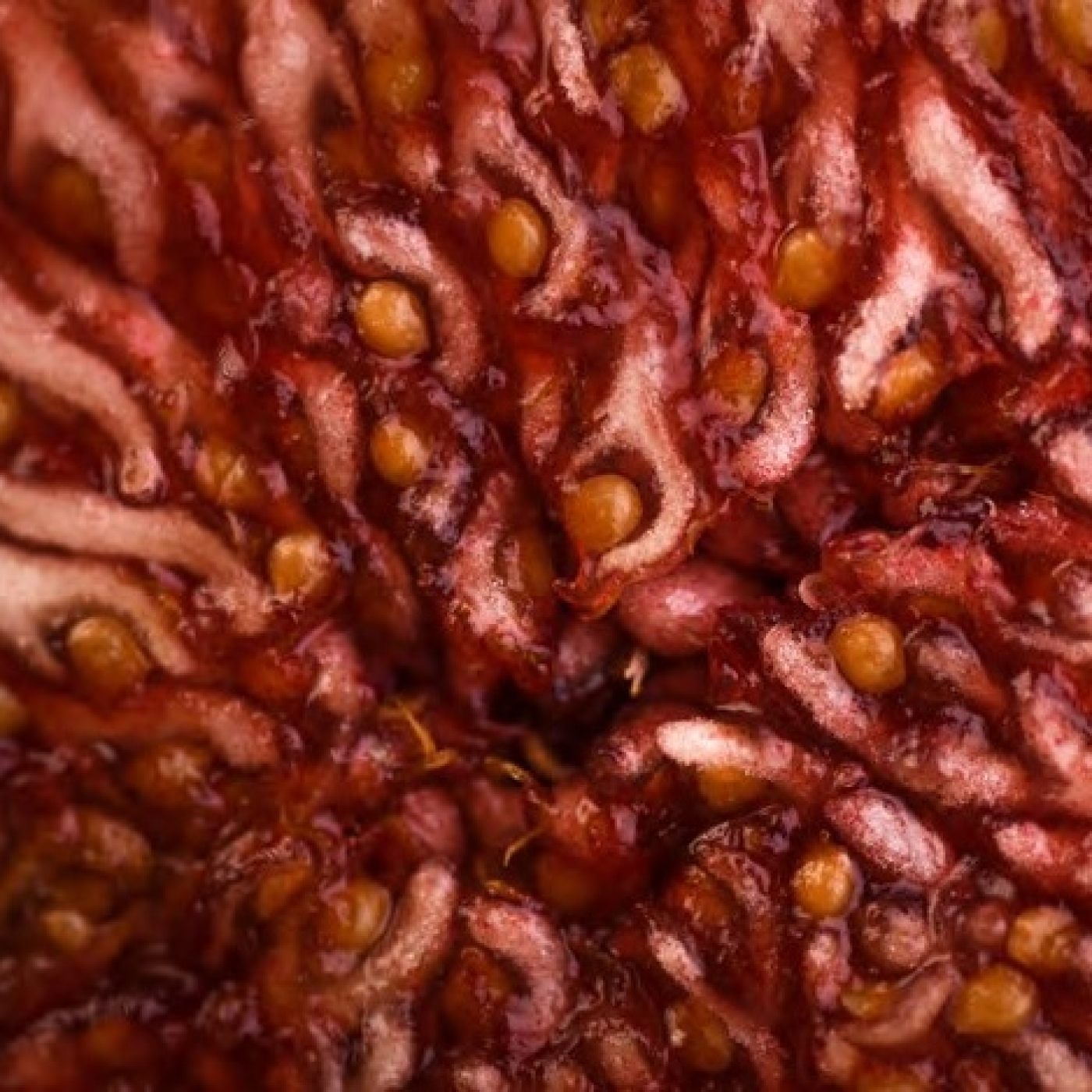 Fotciencia19