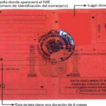 embed image