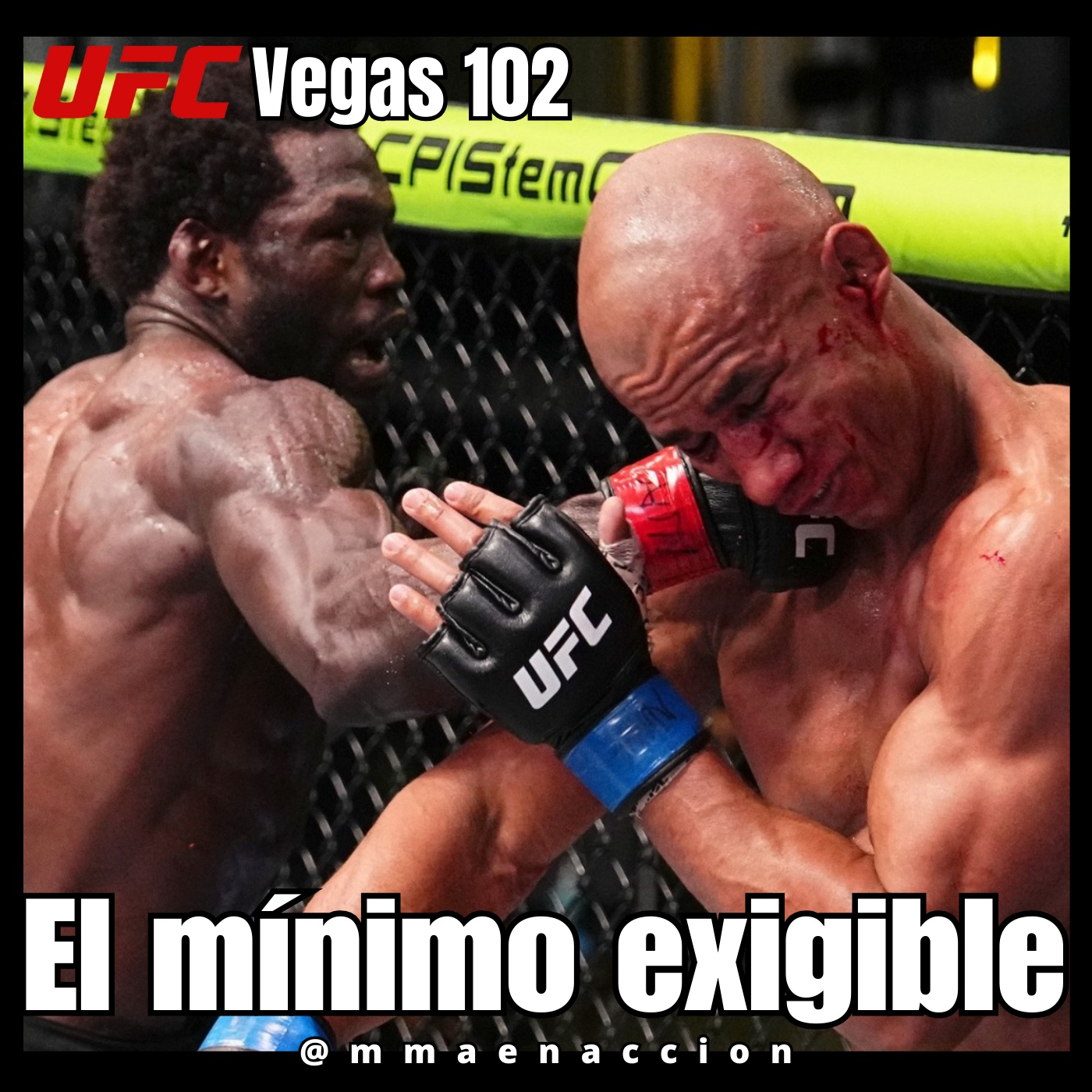 MMA en acción