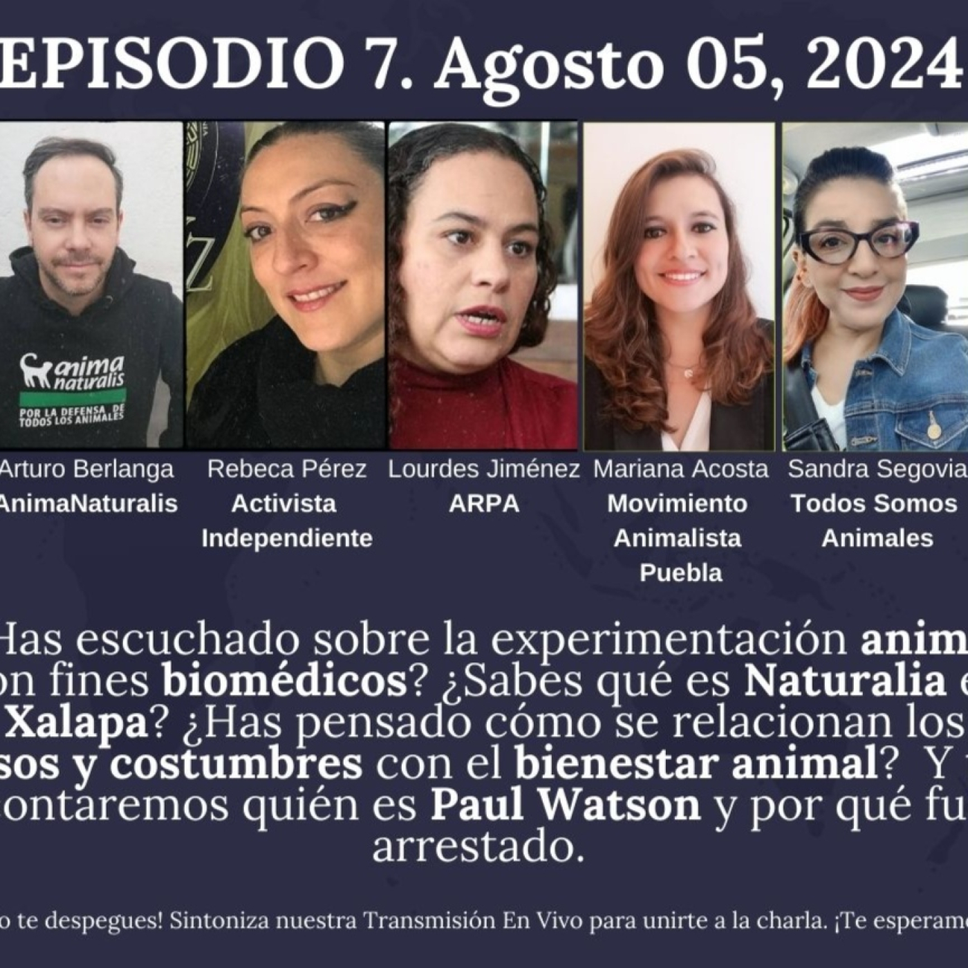Todos Somos Animales News