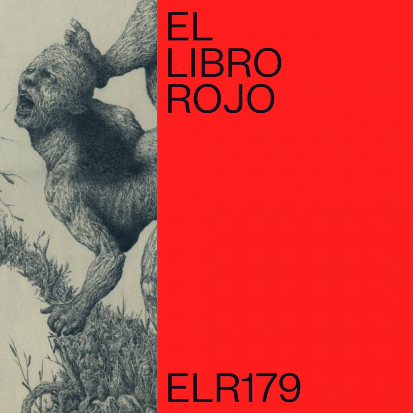 El Libro Rojo de Ritxi Ostáriz