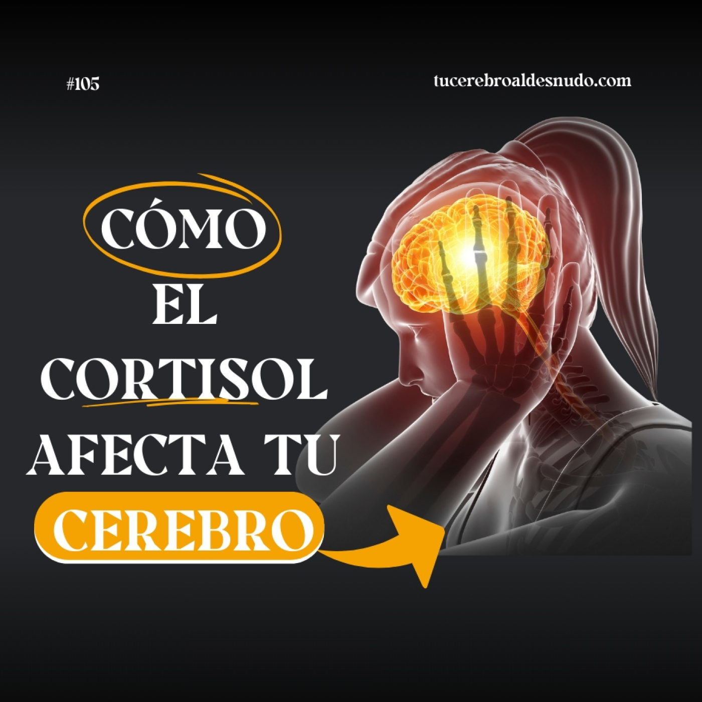 105. ¿Qué es el CORTISOL? | Qué dice la Neurociencia sobre su Impacto en la Salud y Cómo Equilibrarlo episode artwork