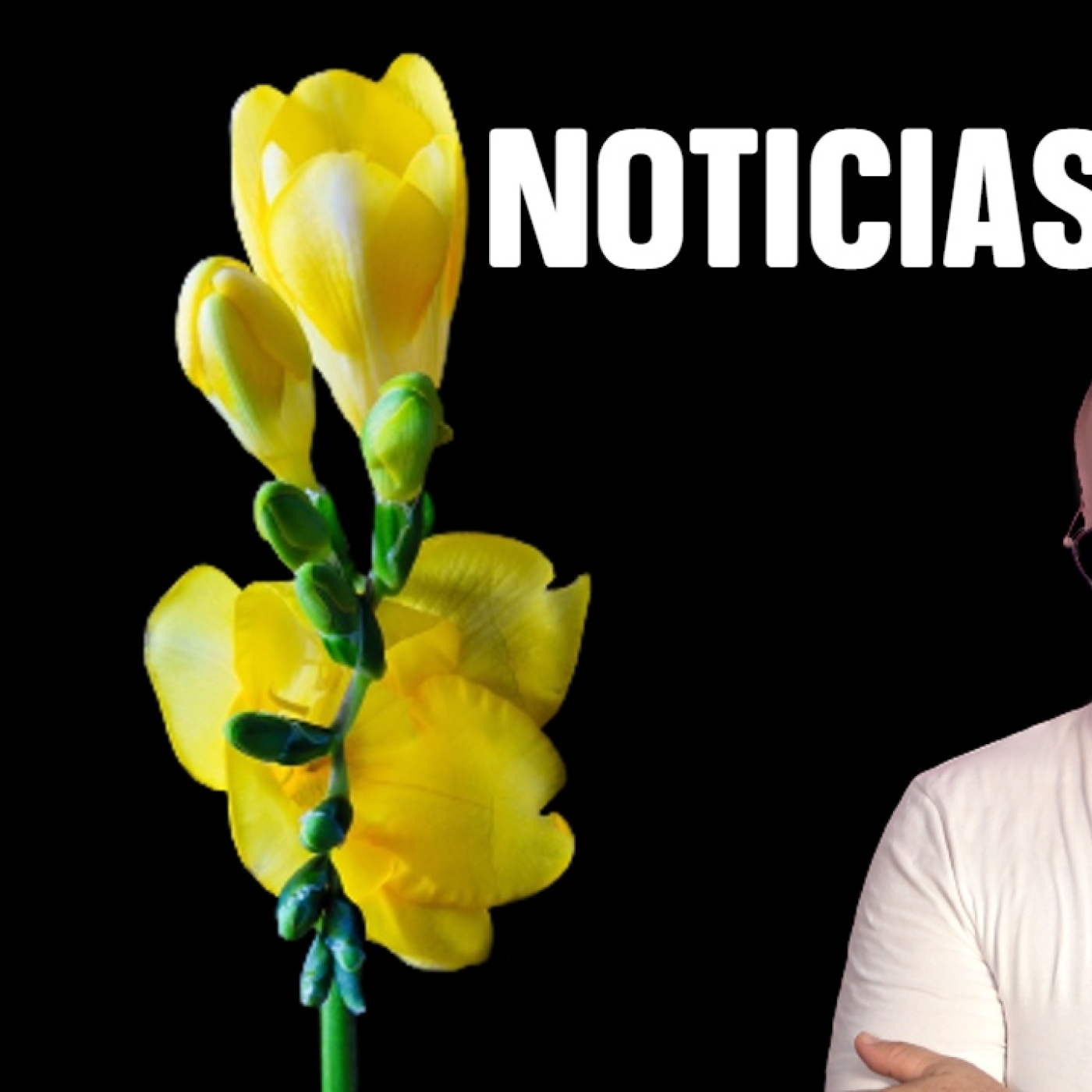 Javier Orgaz