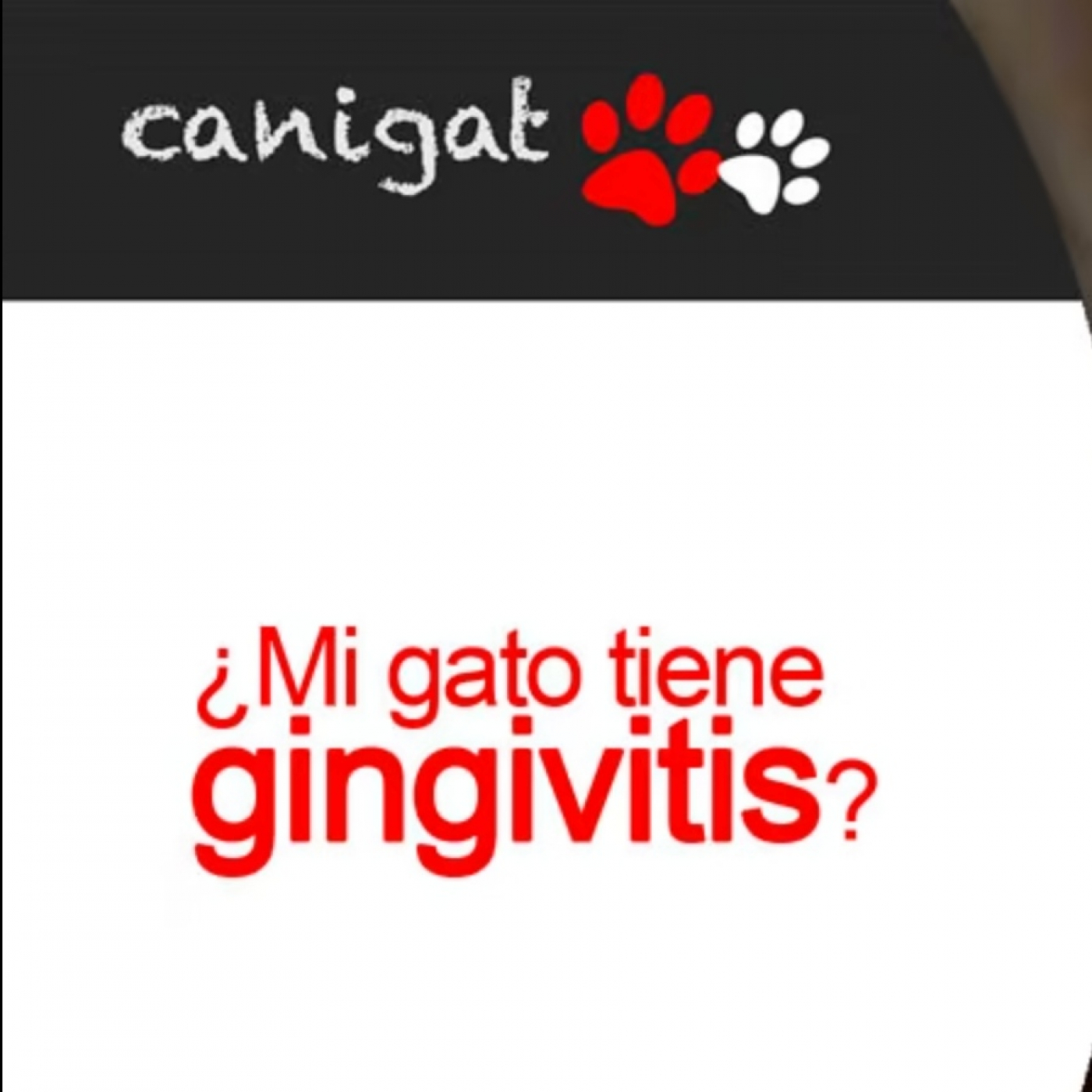 Consejos veterinarios de perros y gatos by canigat