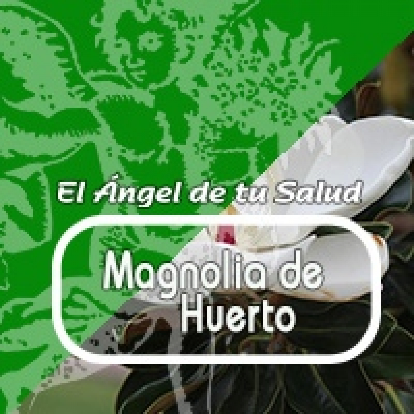 El Angel de tu Salud - MAGNOLIA DE HUERTO** episode artwork