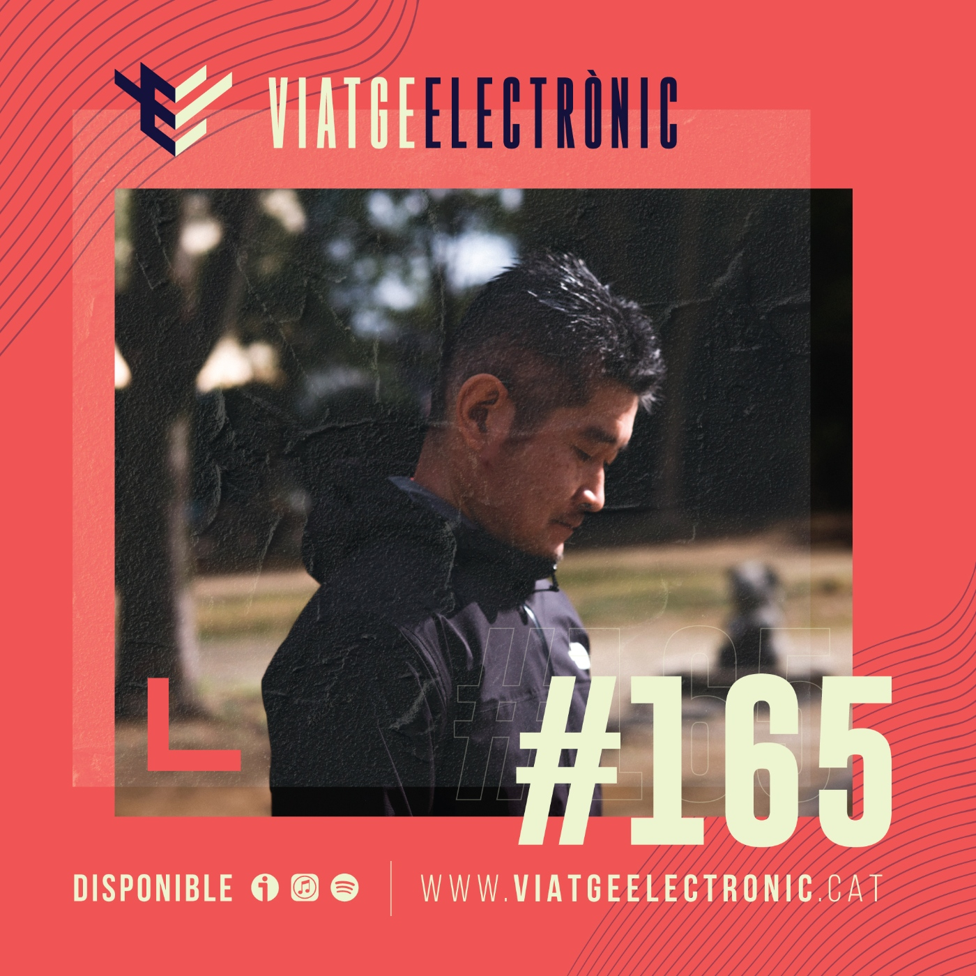 Viatge Electrònic