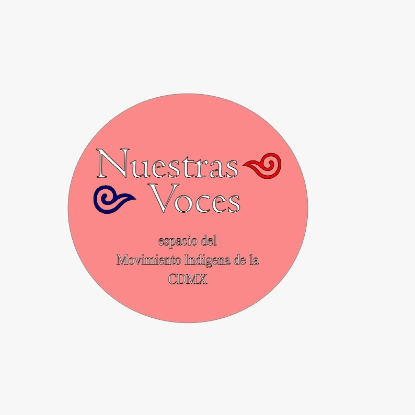 Nuestras Voces 03032025 p 336